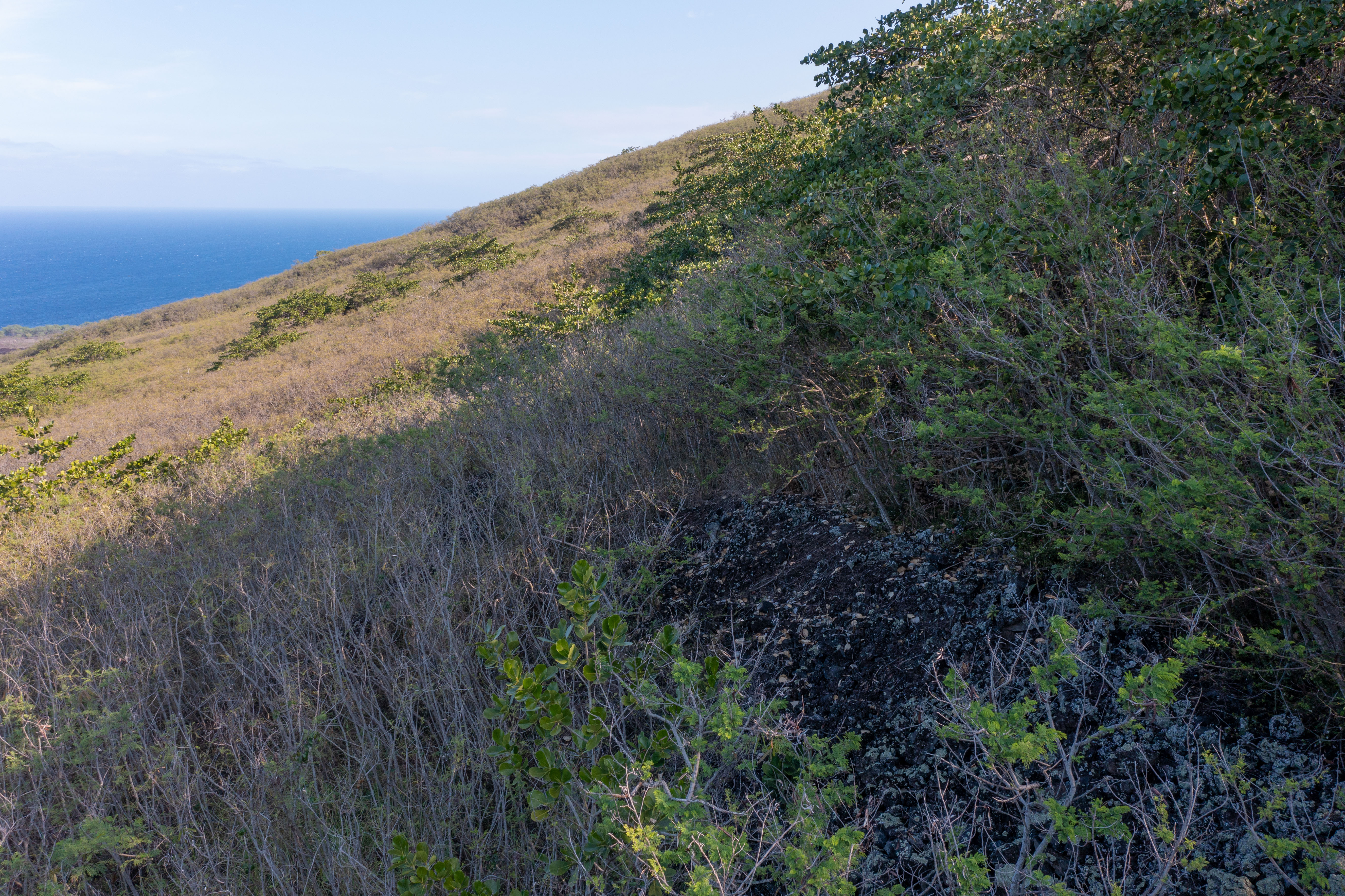 Guava Rd Property Photo 16