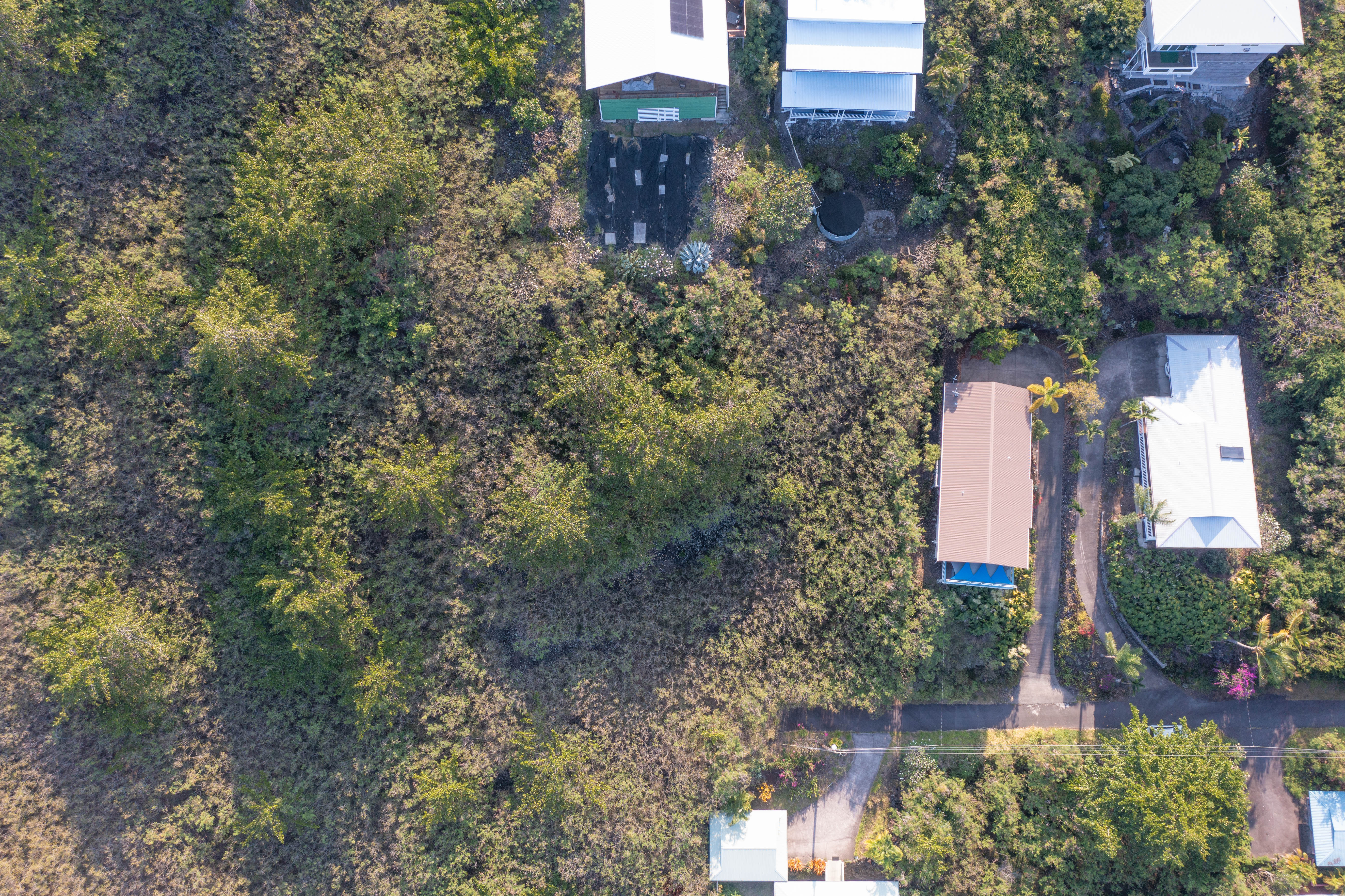Guava Rd Property Photo 22