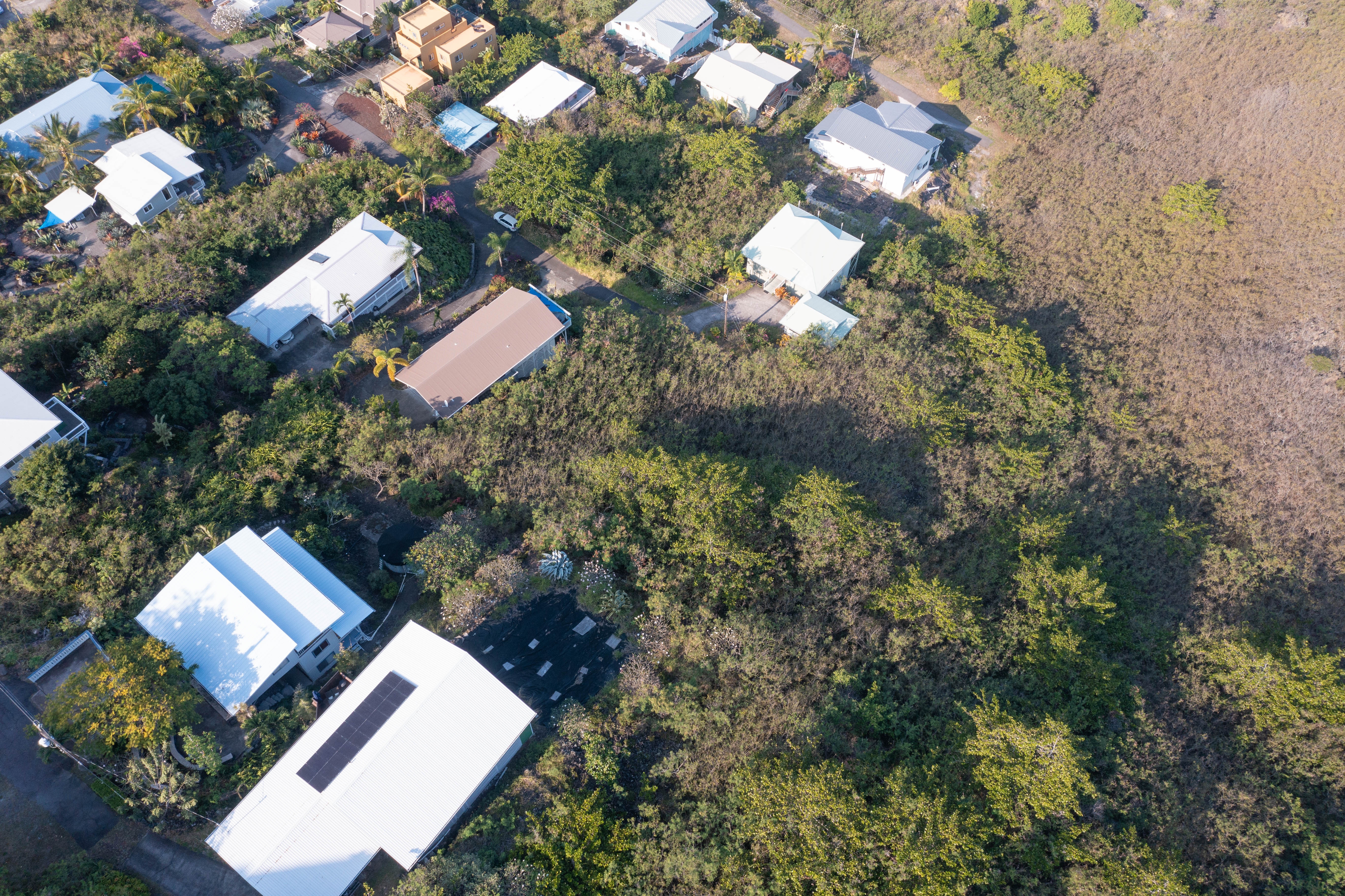Guava Rd Property Photo 25