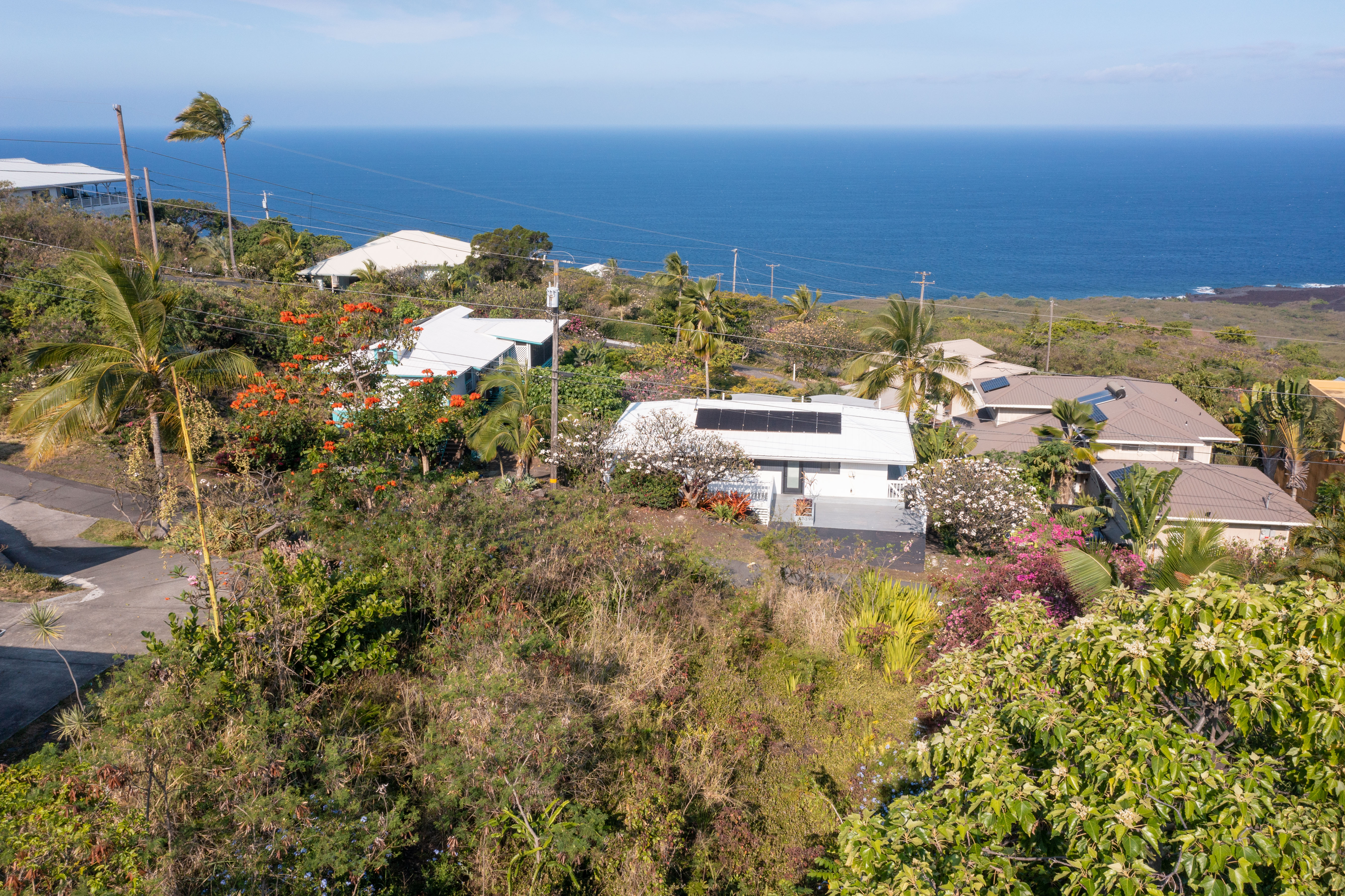 Guava Rd Property Photo 6