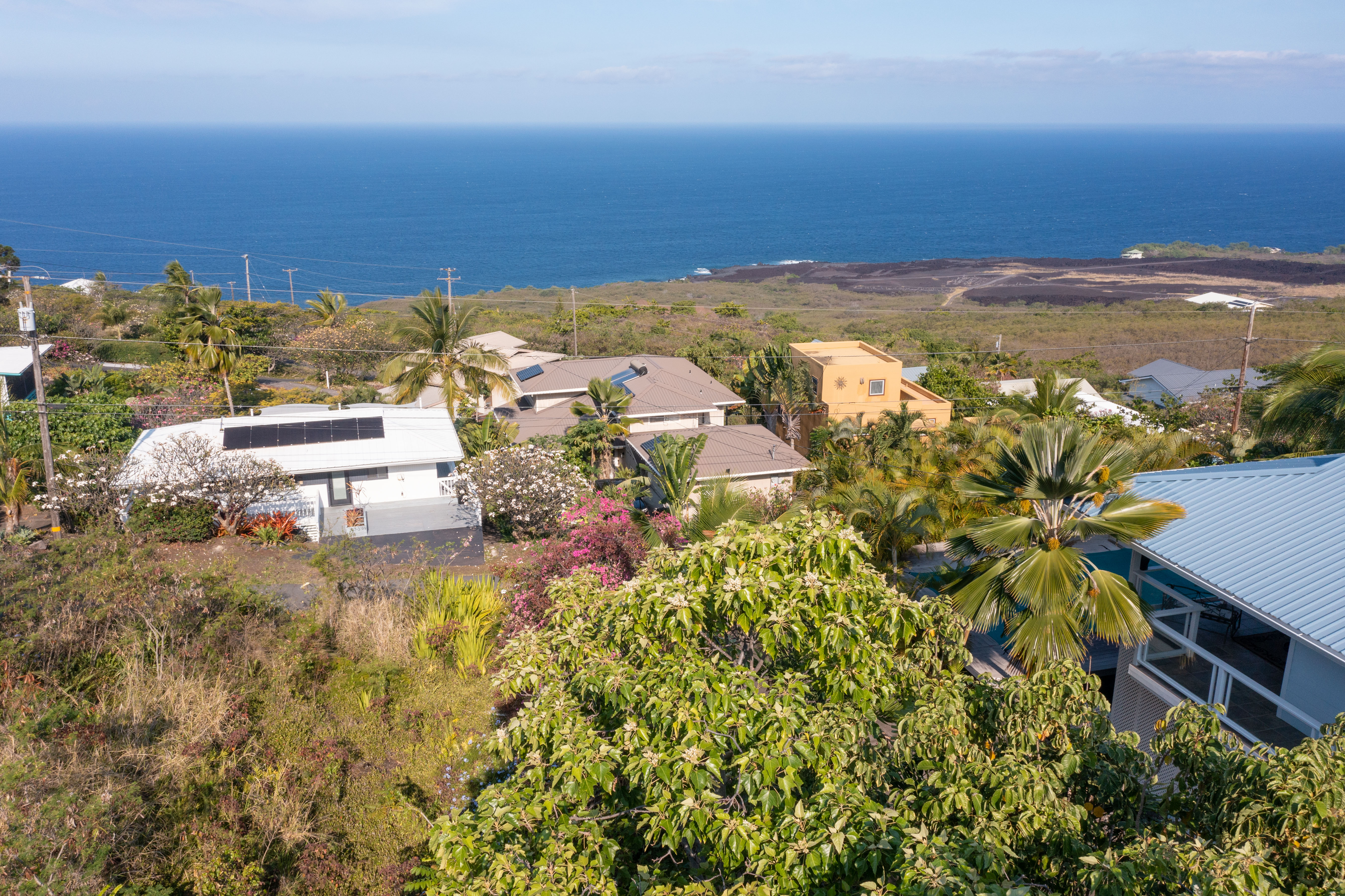 Guava Rd Property Photo 7