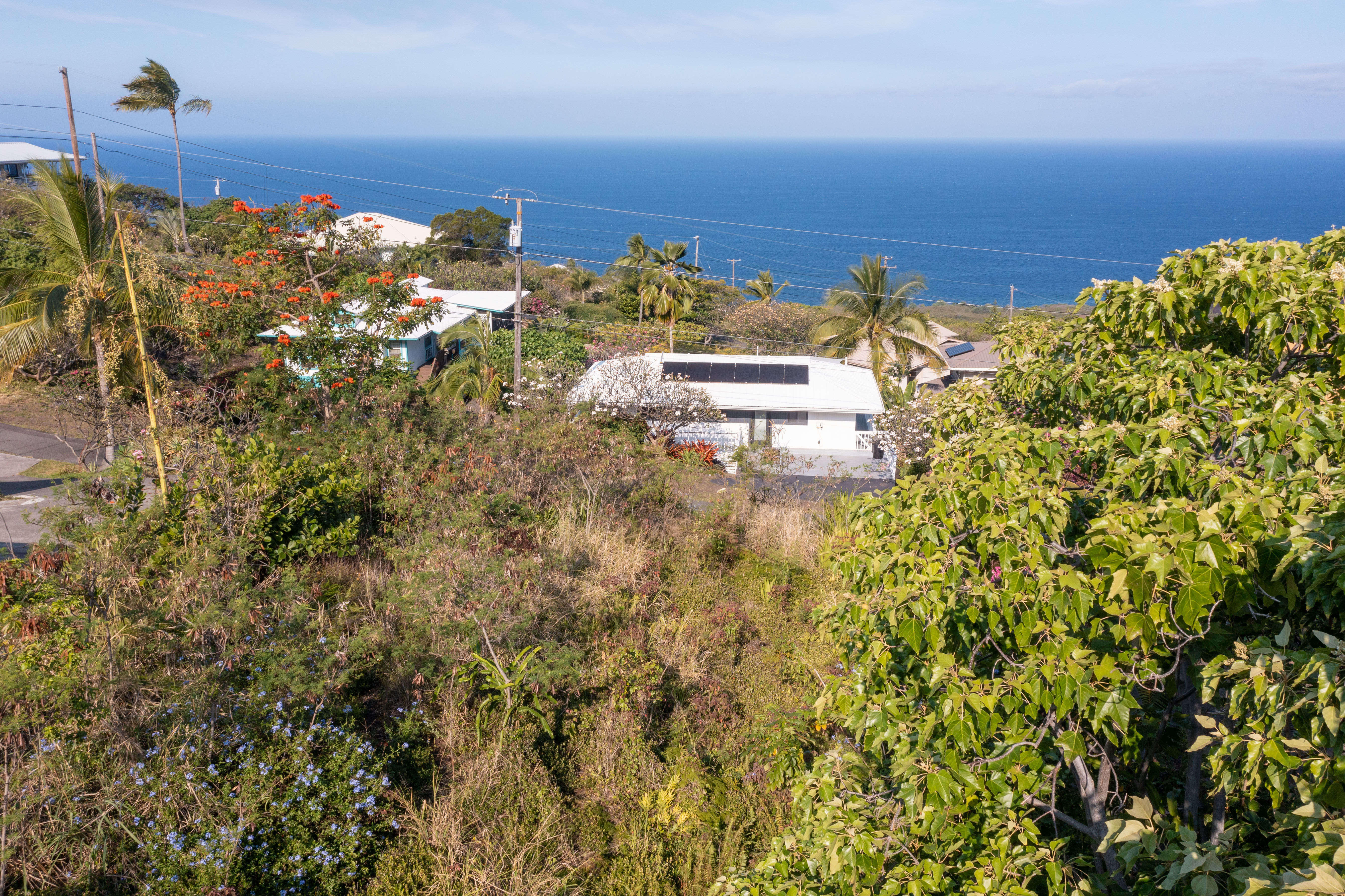 Guava Rd Property Photo 9