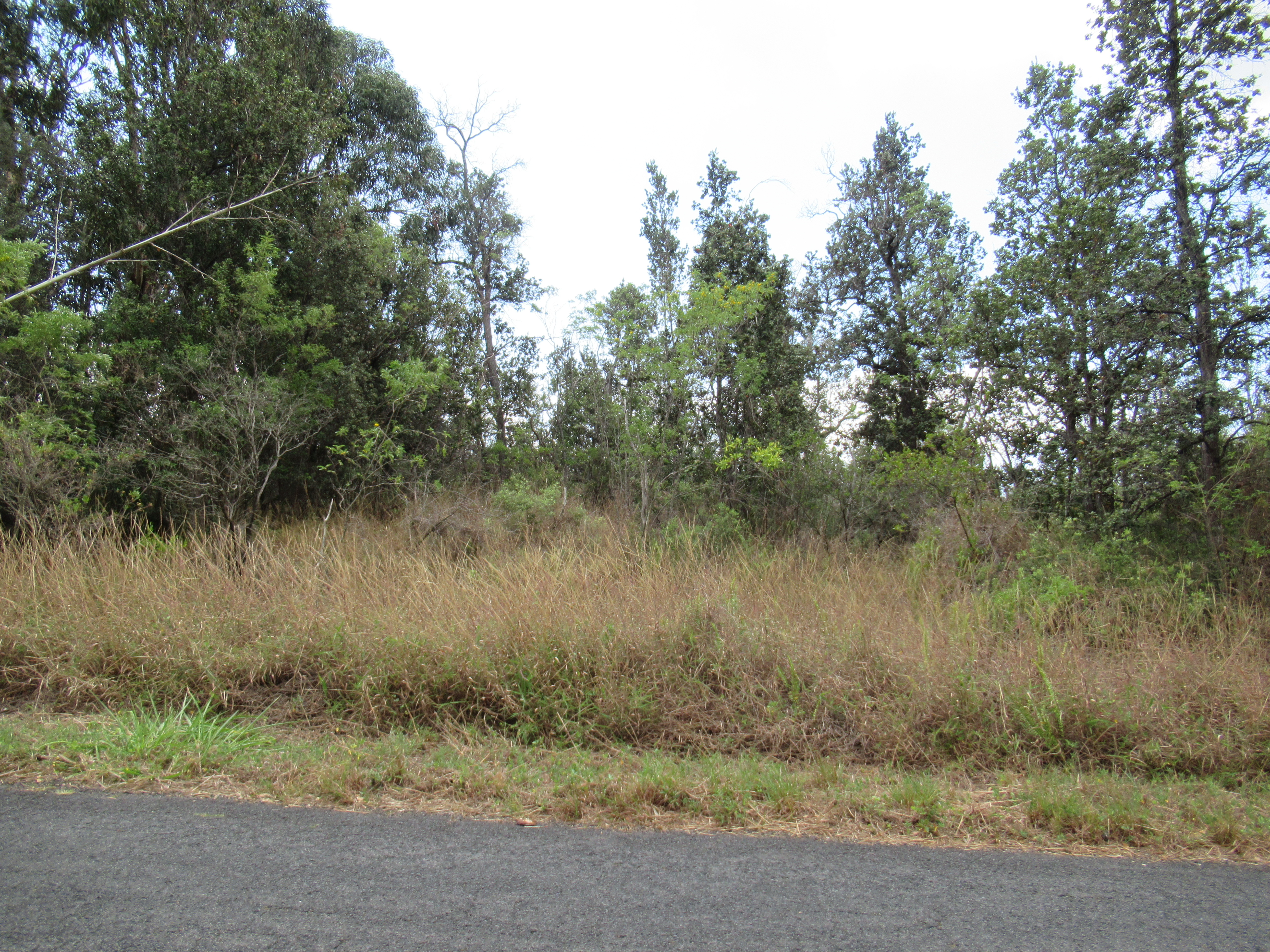 Kona Dr Property Photo 1