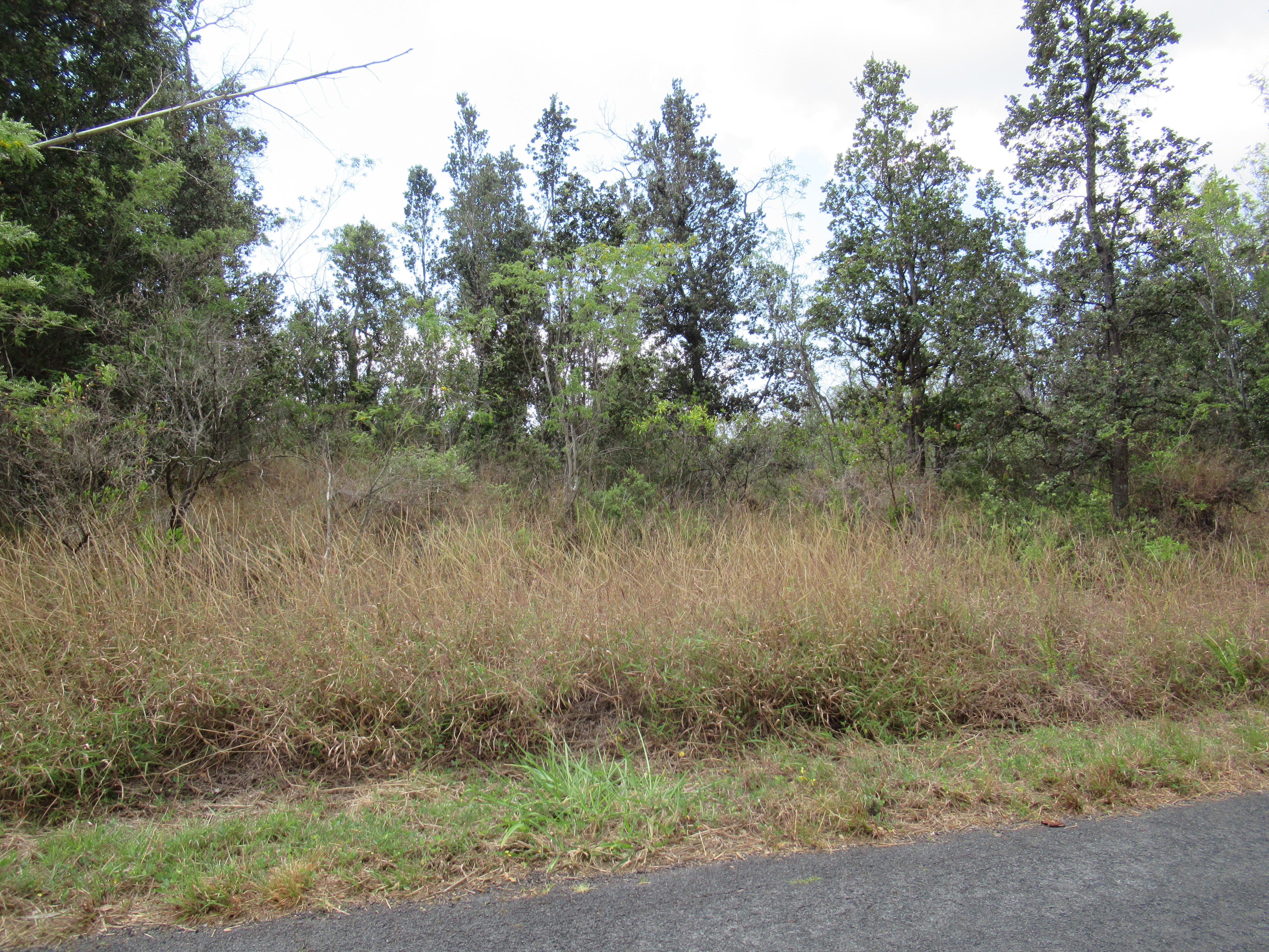 Kona Dr Property Photo 2