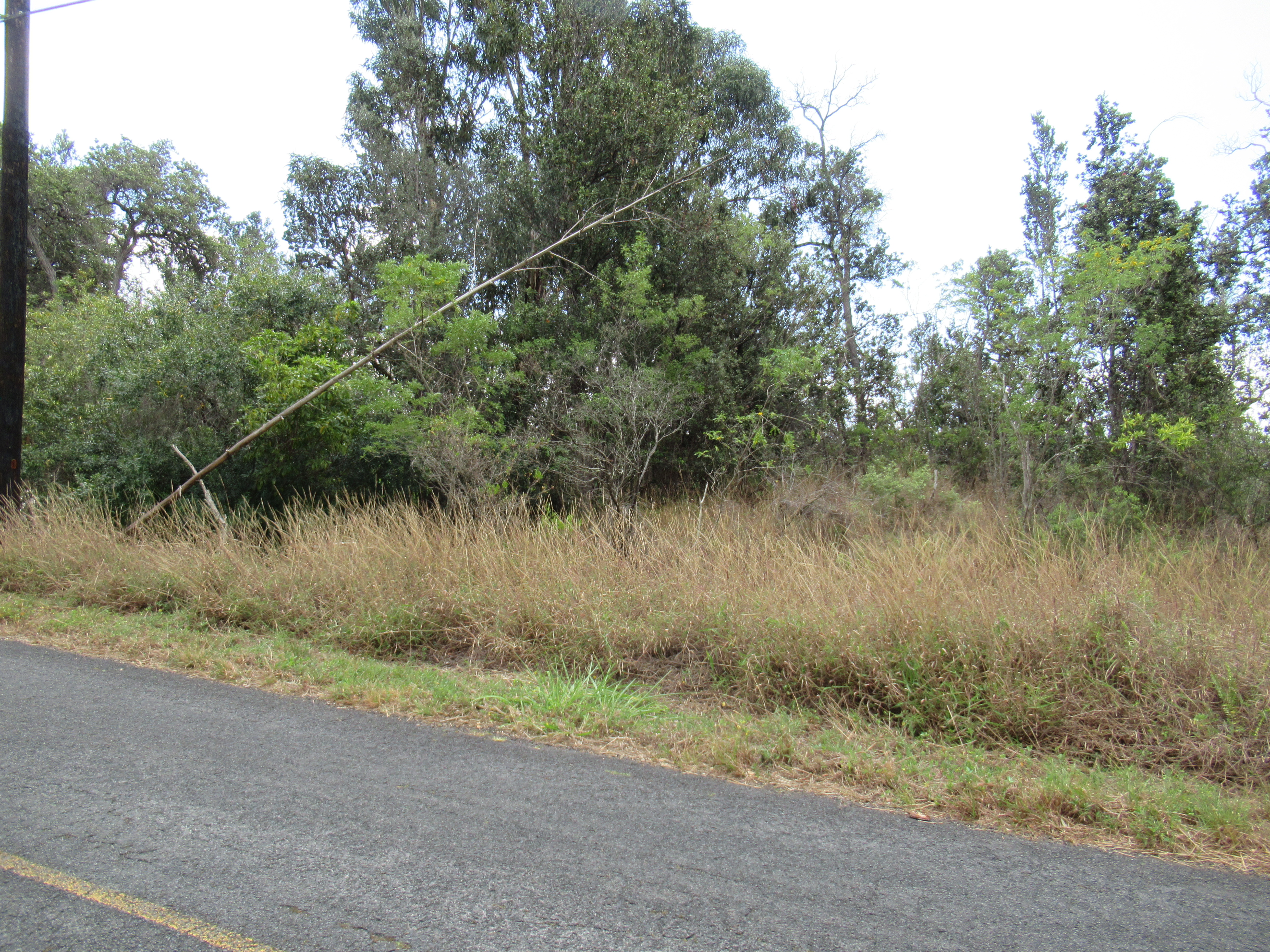 Kona Dr Property Photo 3