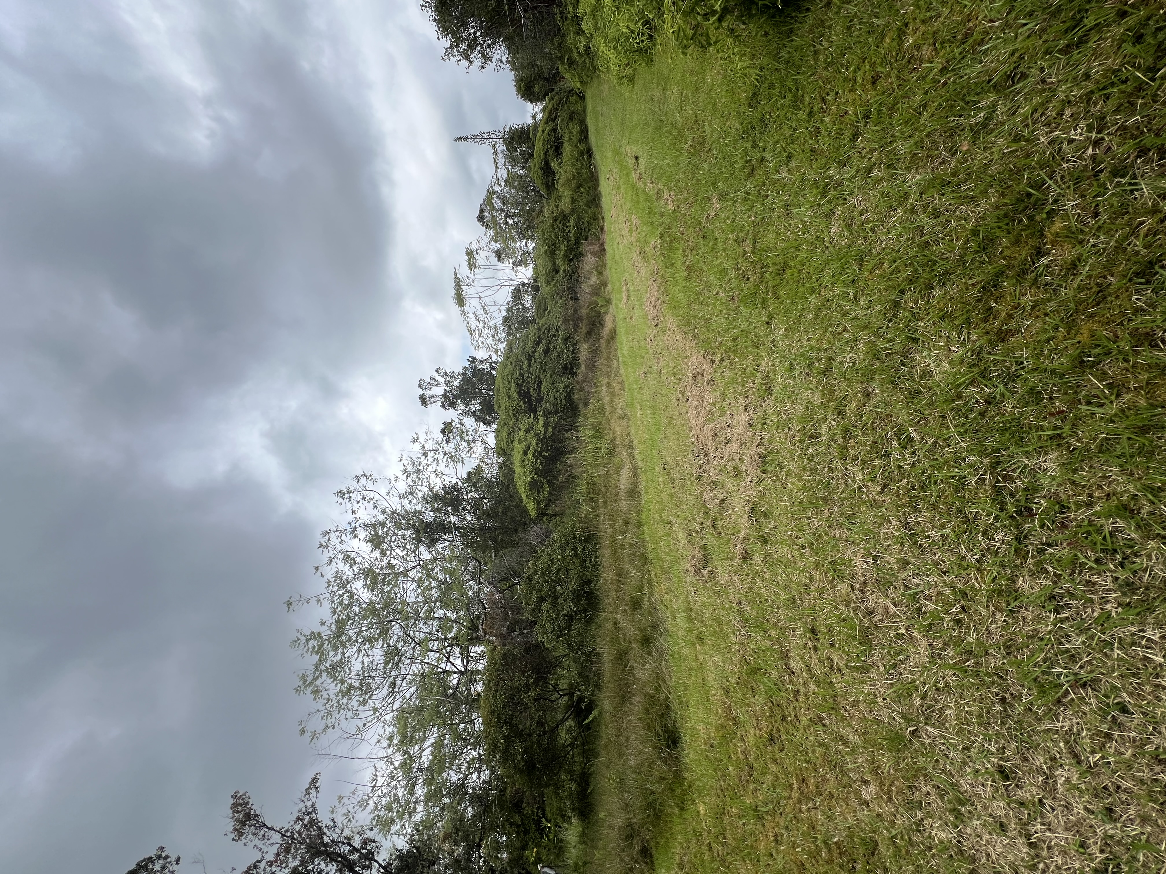 KOLEA ST Property Photo 1