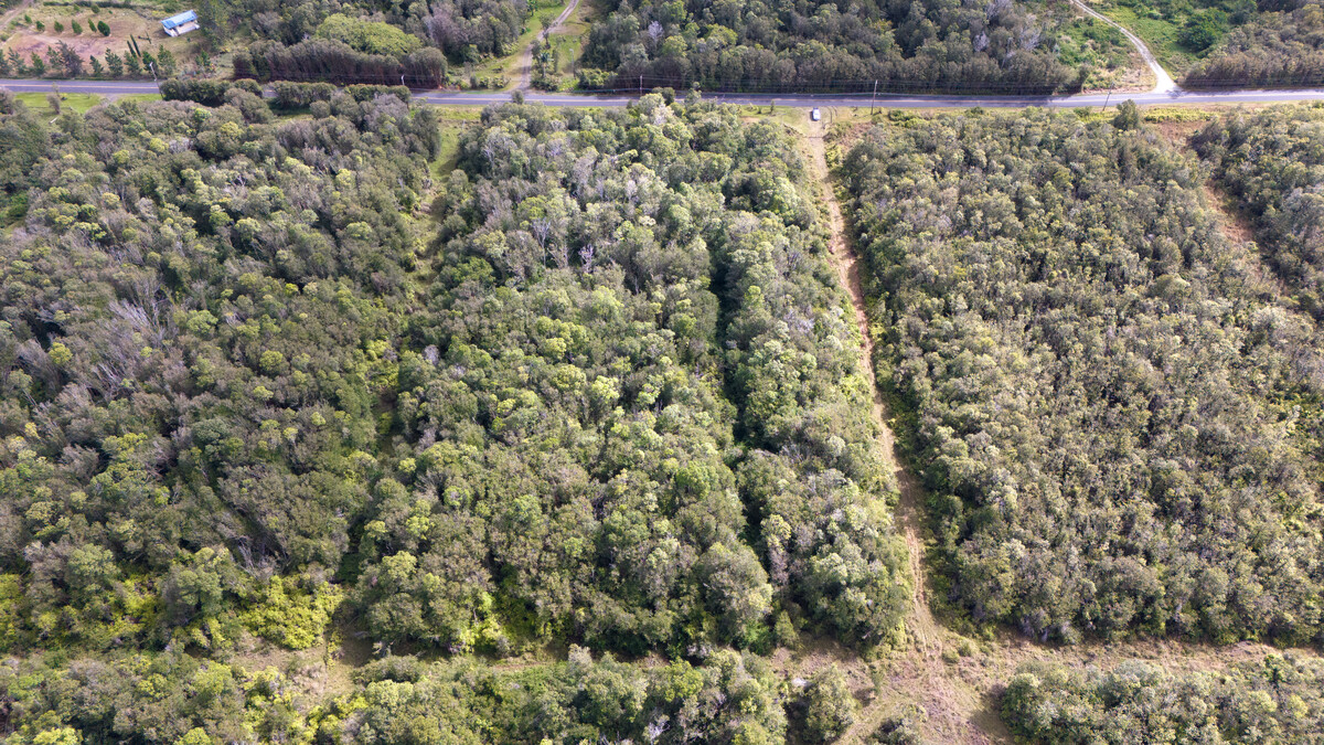 Glenwood Rd Property Photo 9
