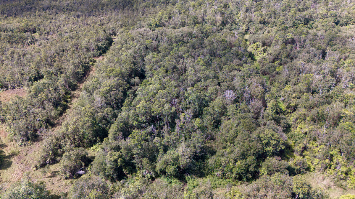 Glenwood Rd Property Photo 4
