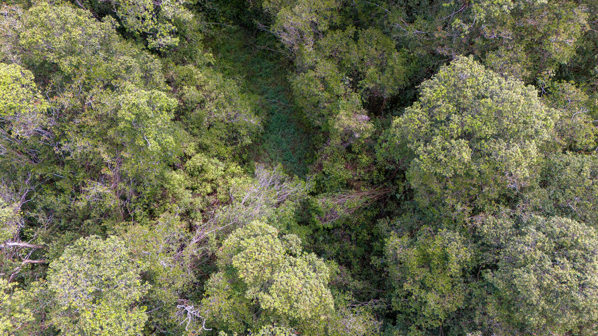 Glenwood Rd Property Photo 5