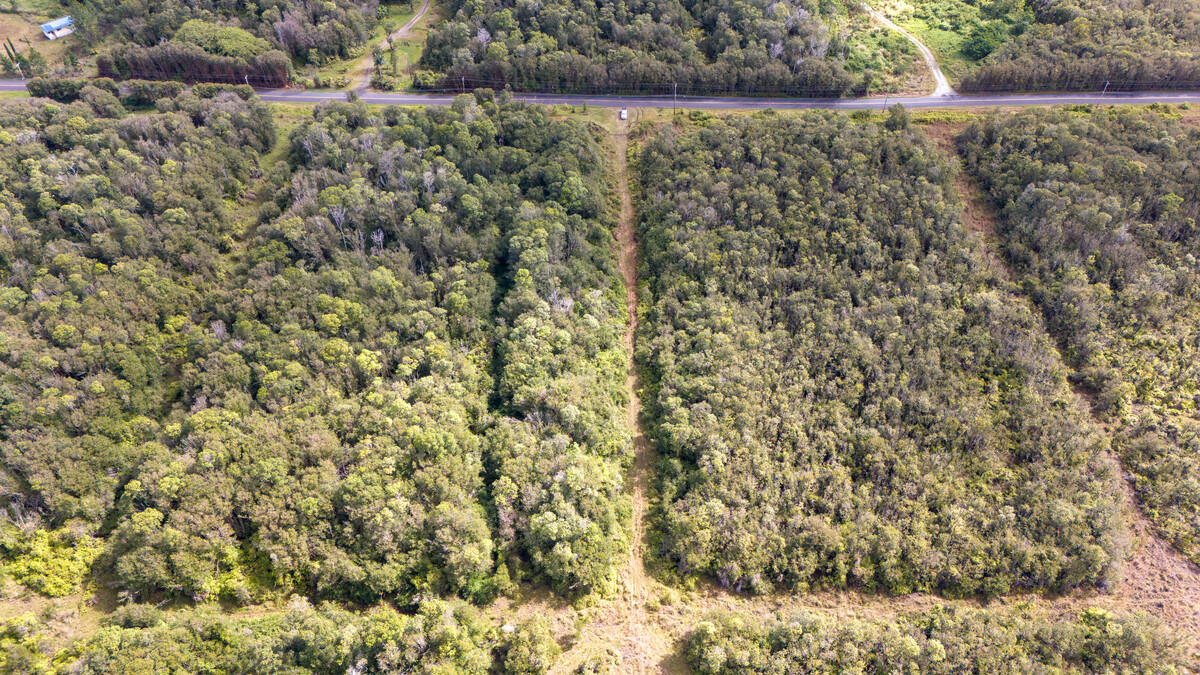 Glenwood Rd Property Photo 6