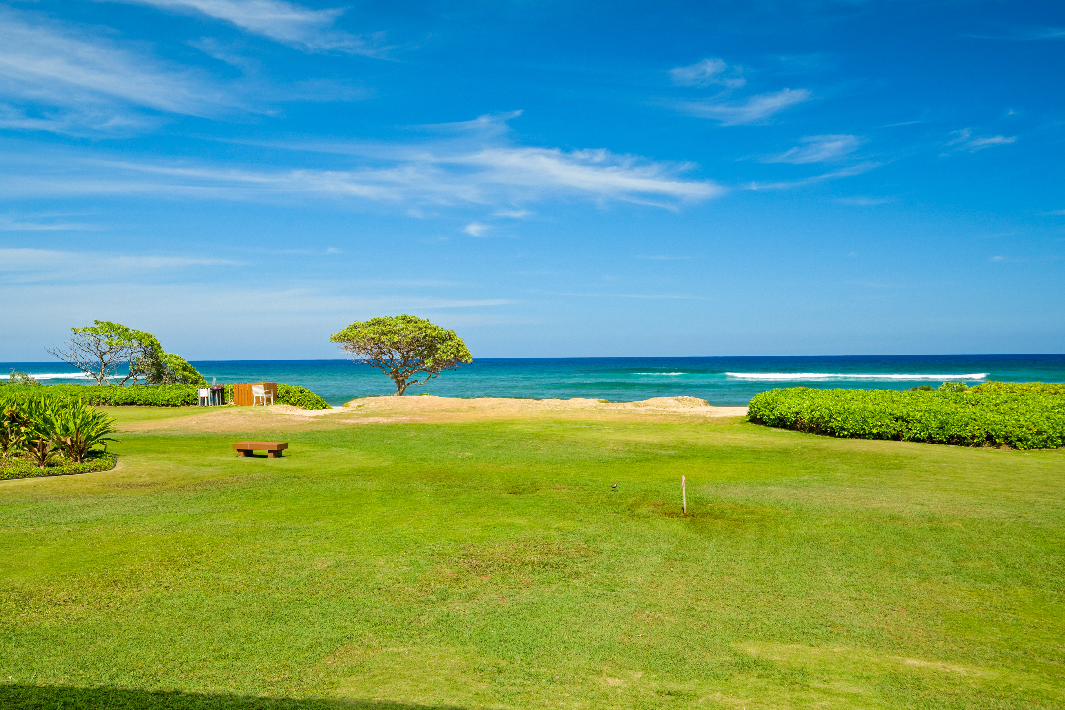 4331 Kauai Beach Dr 4113 Property Photo 6