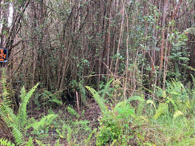 Road 5 Property Photo 1