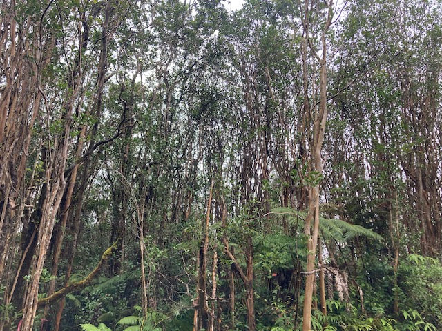 Road 5 Property Photo 2