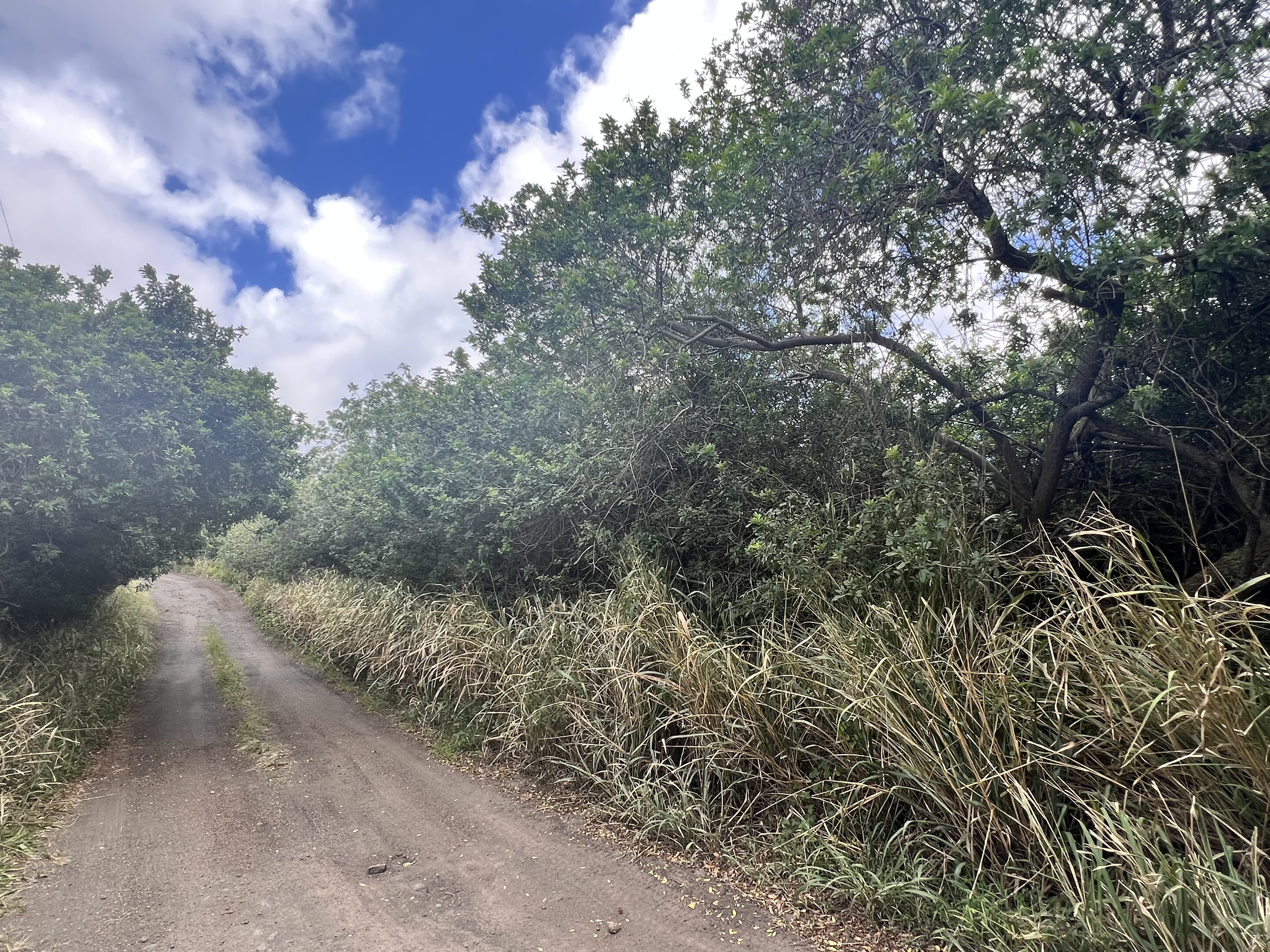 Kekuhaupio Rd Property Photo 1