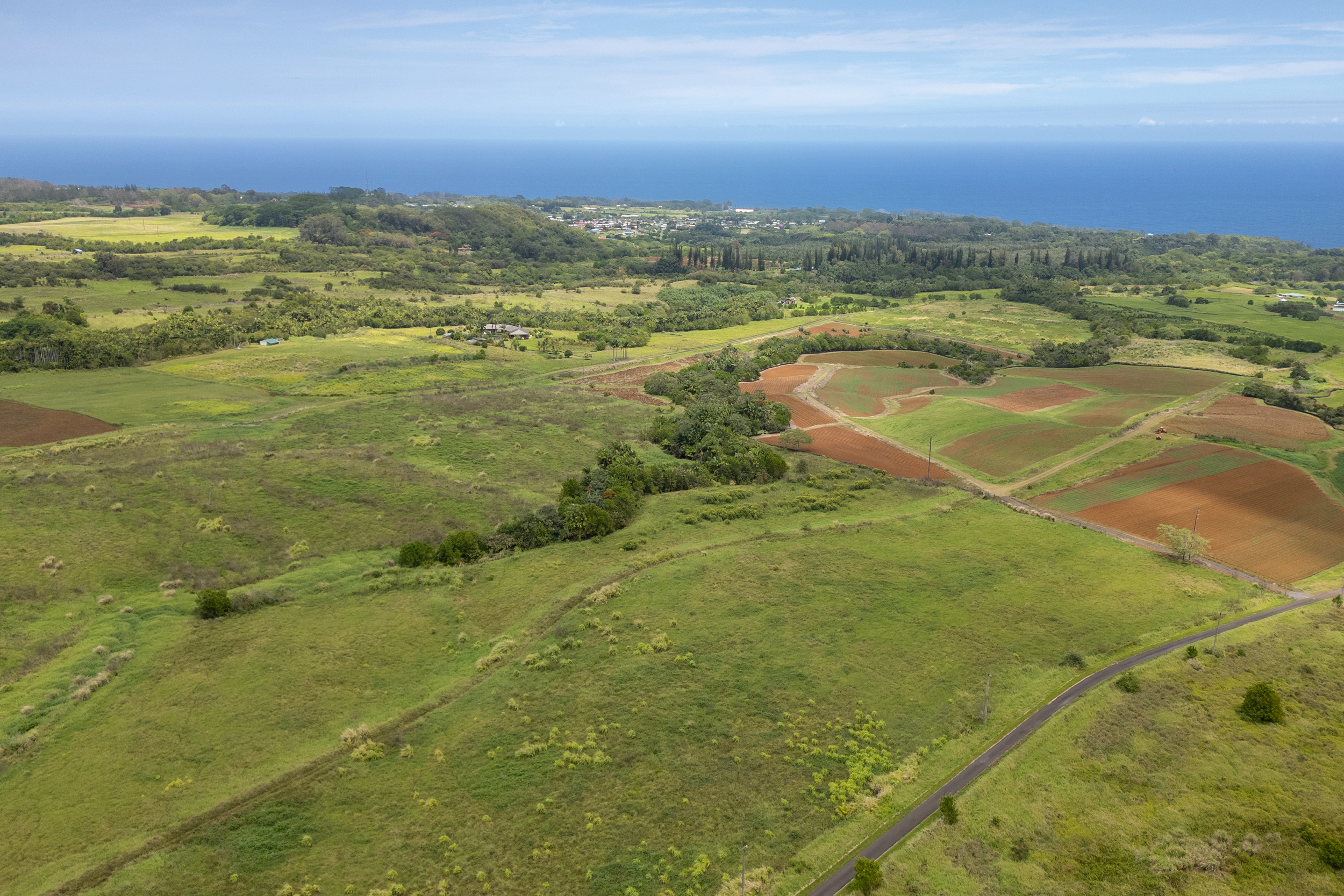 Onohi Loop Property Photo 5