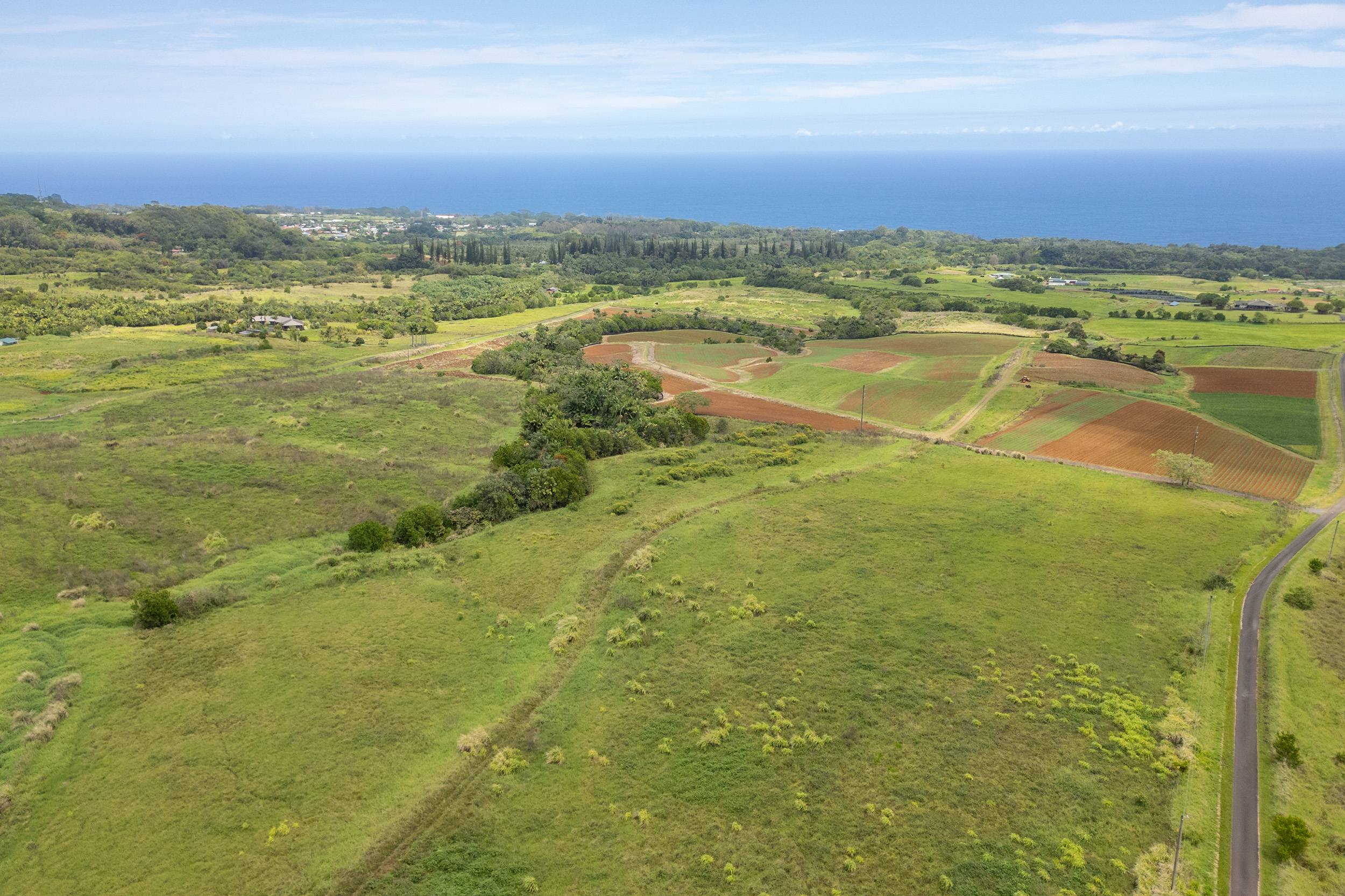 Onohi Loop Property Photo 6