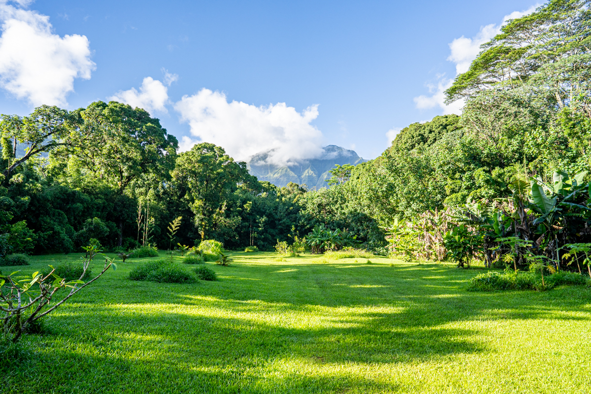 Kuhio Hwy Property Photo