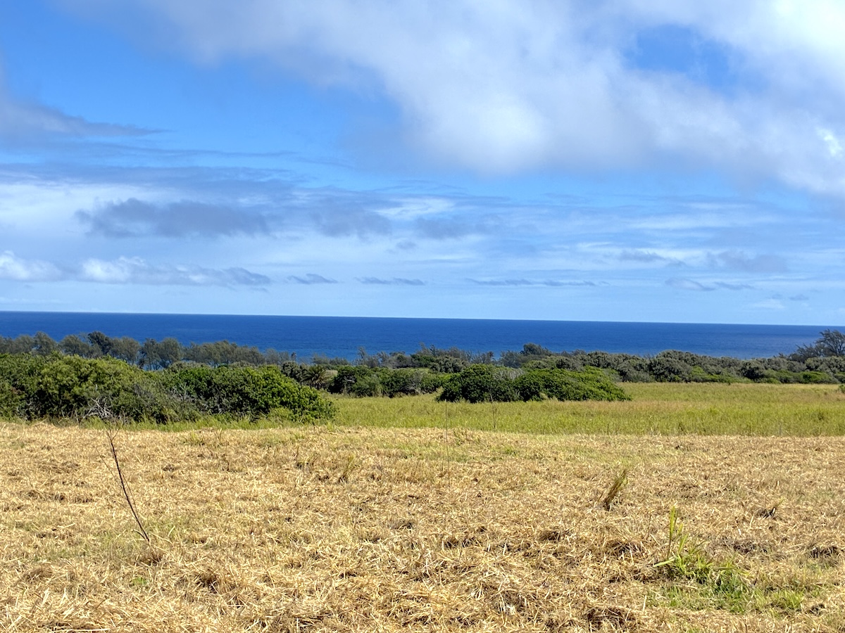 Akoni Pule Hwy Property Photo