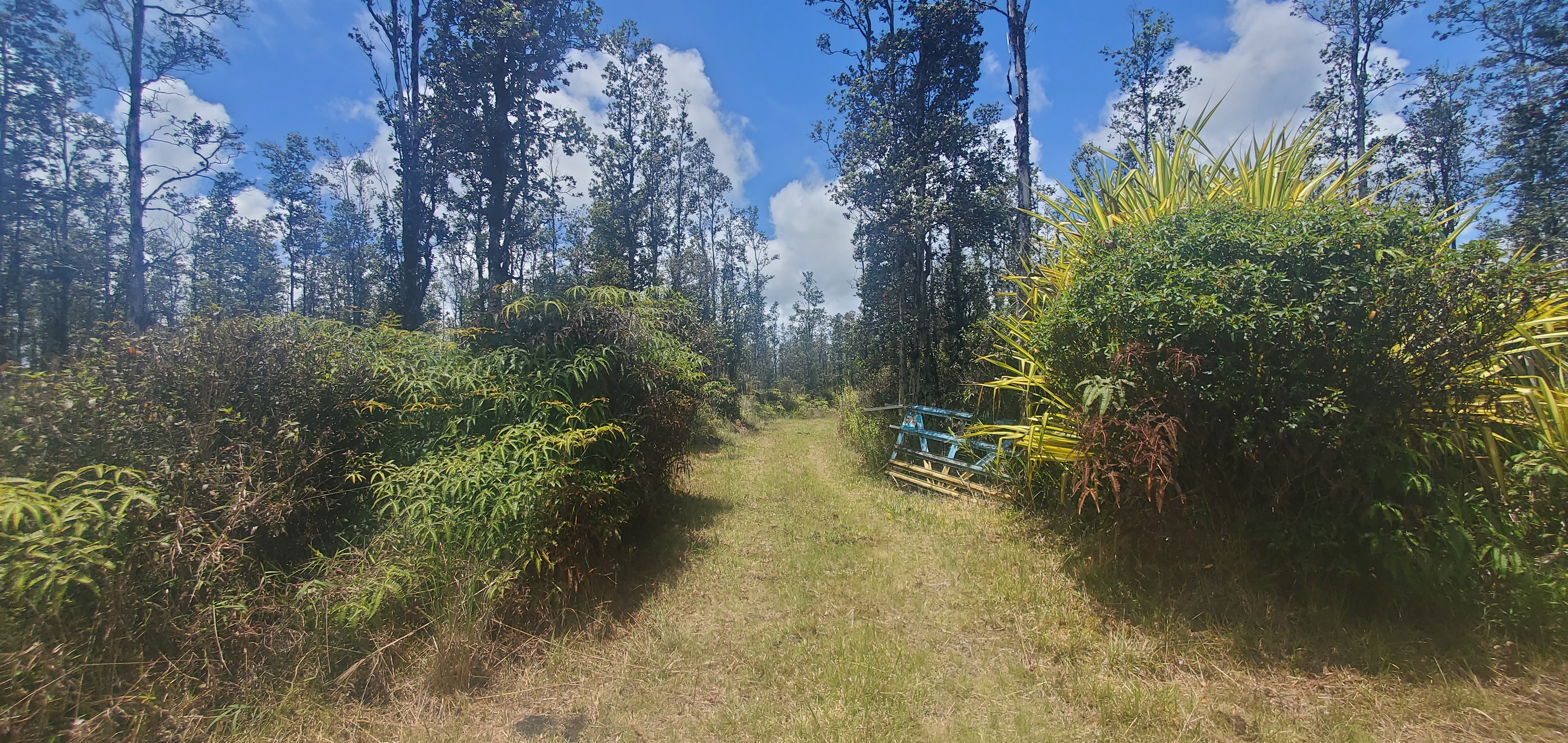 16-2192 Io Kea Rd Property Photo