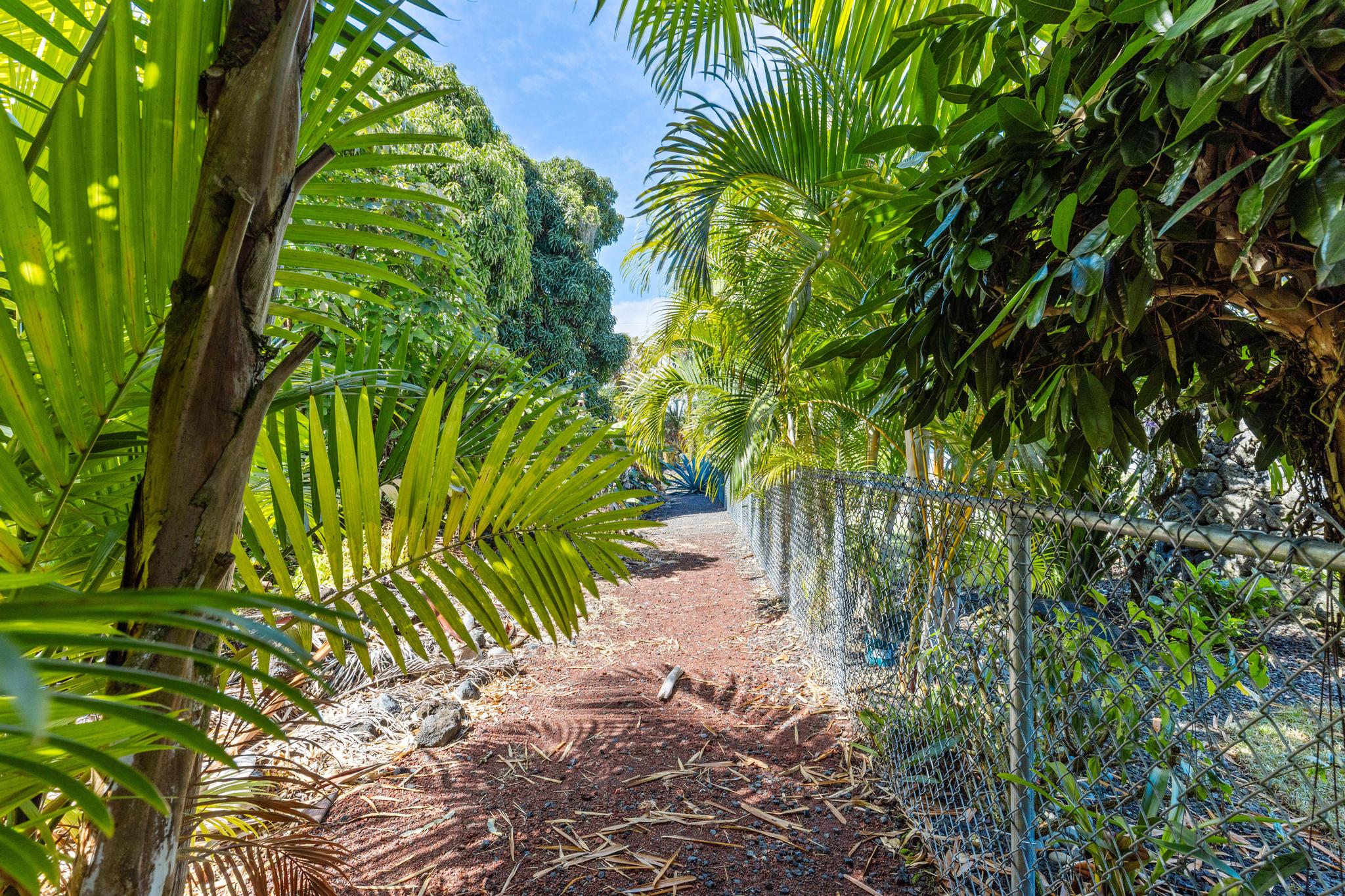 Papai St Property Photo 1