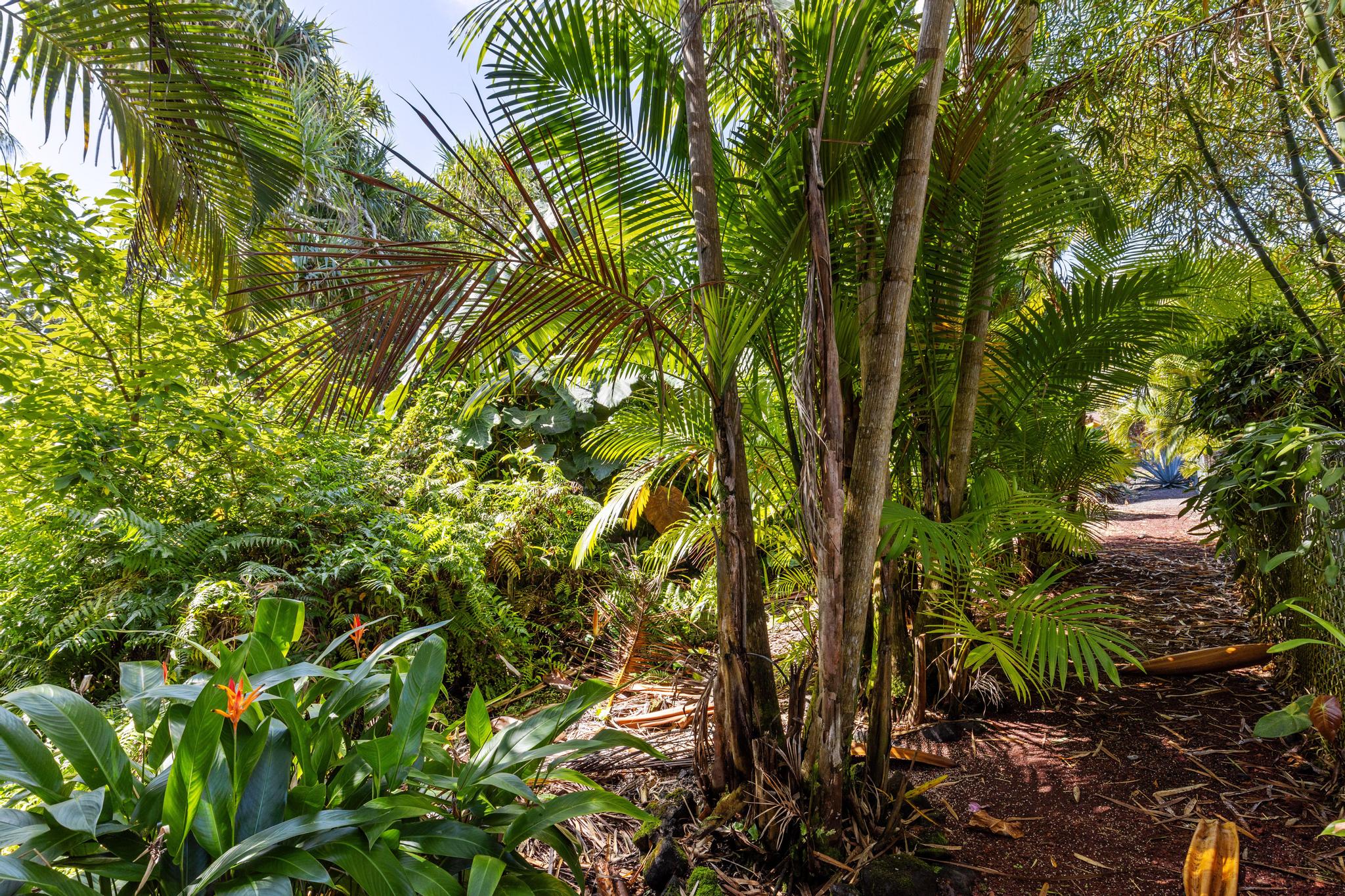 Papai St Property Photo 4
