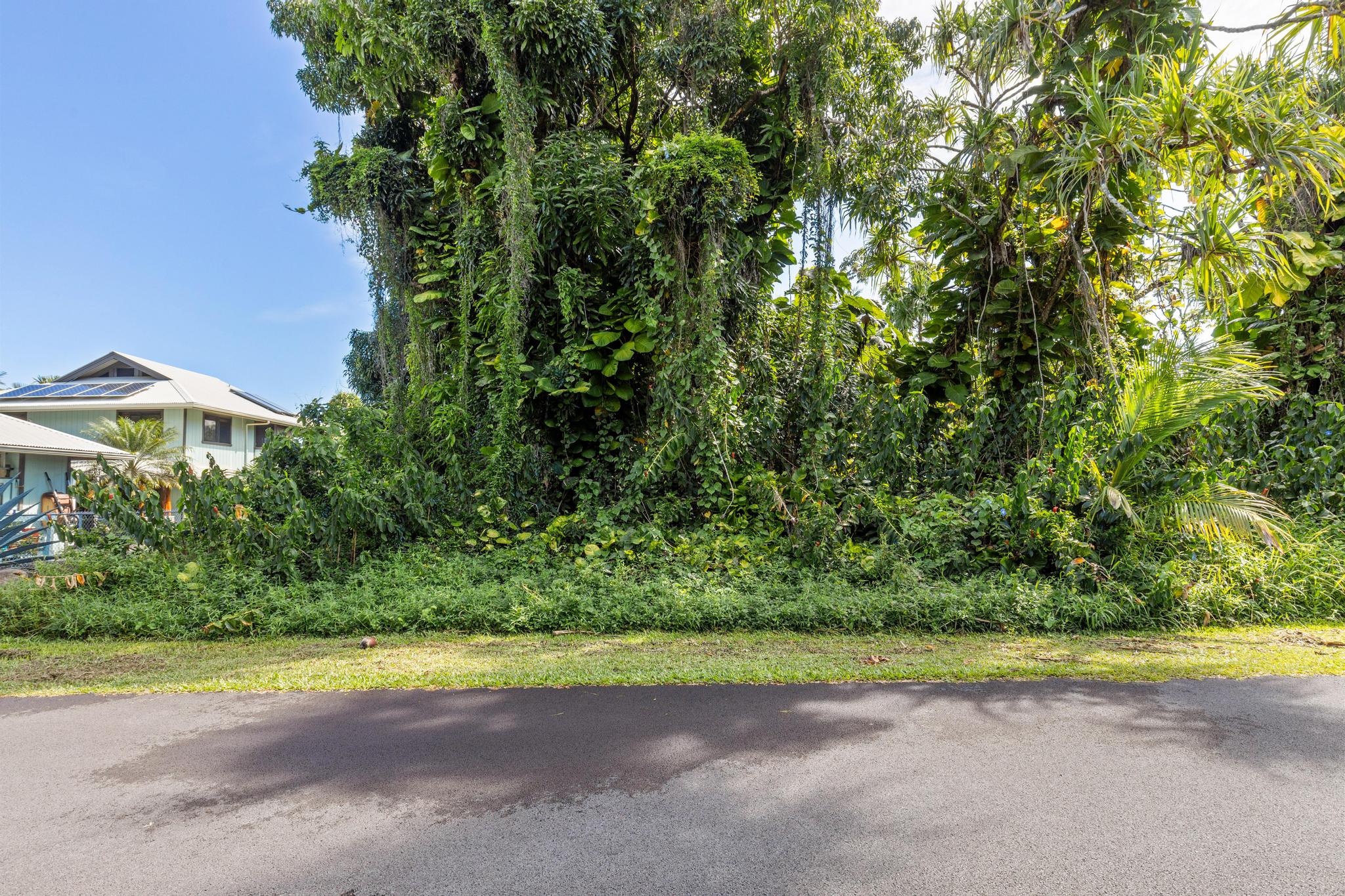Papai St Property Photo 5