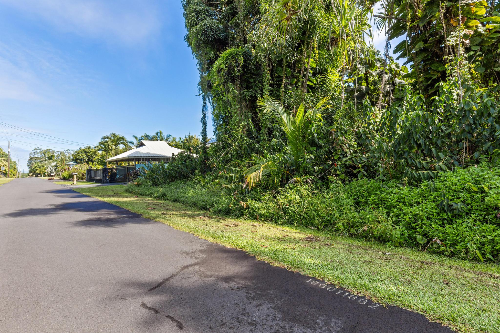 Papai St Property Photo 6