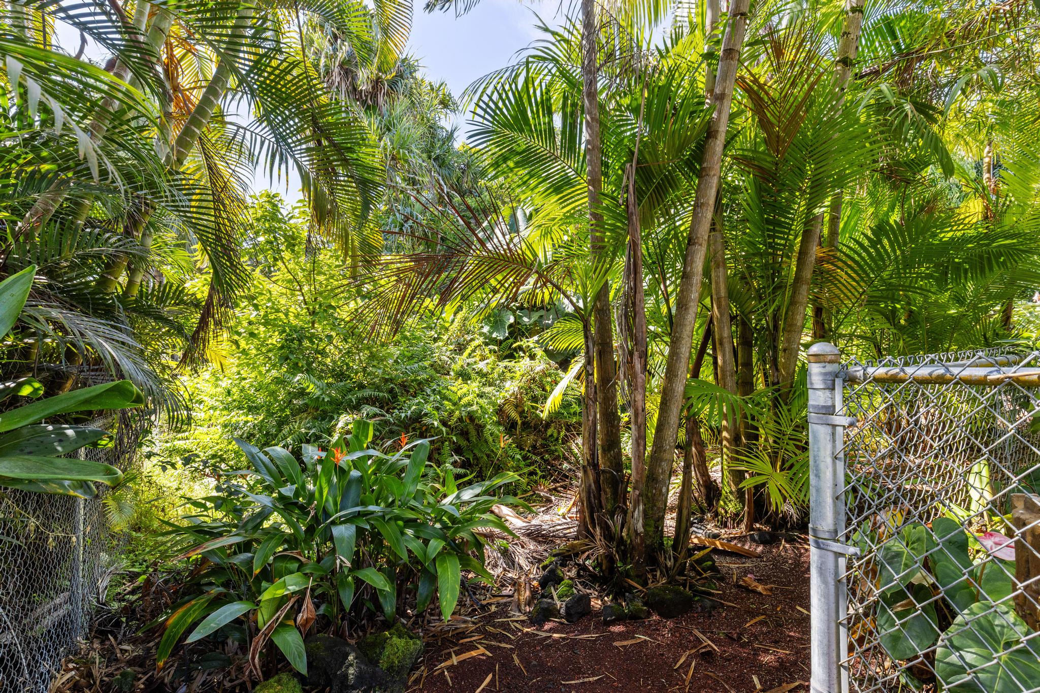 Papai St Property Photo 7
