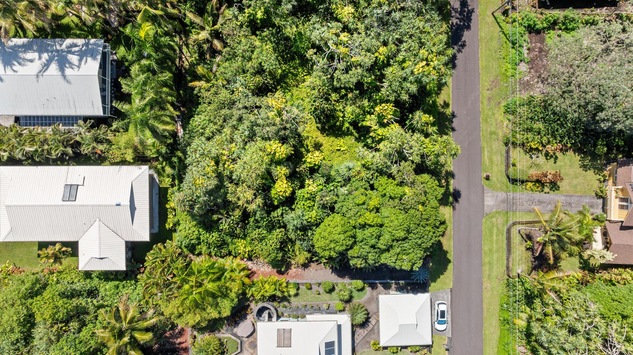 Papai St Property Photo 10