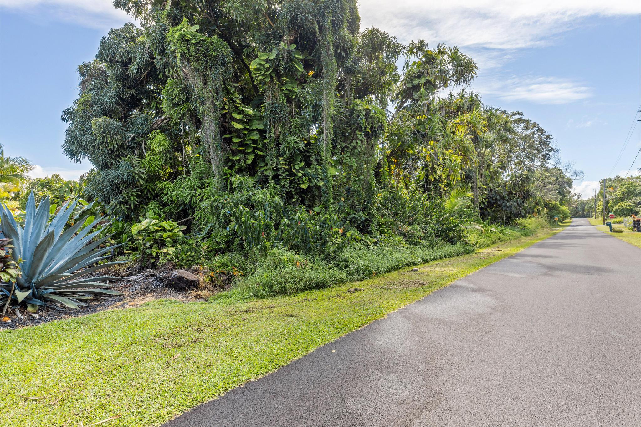 Papai St Property Photo 15