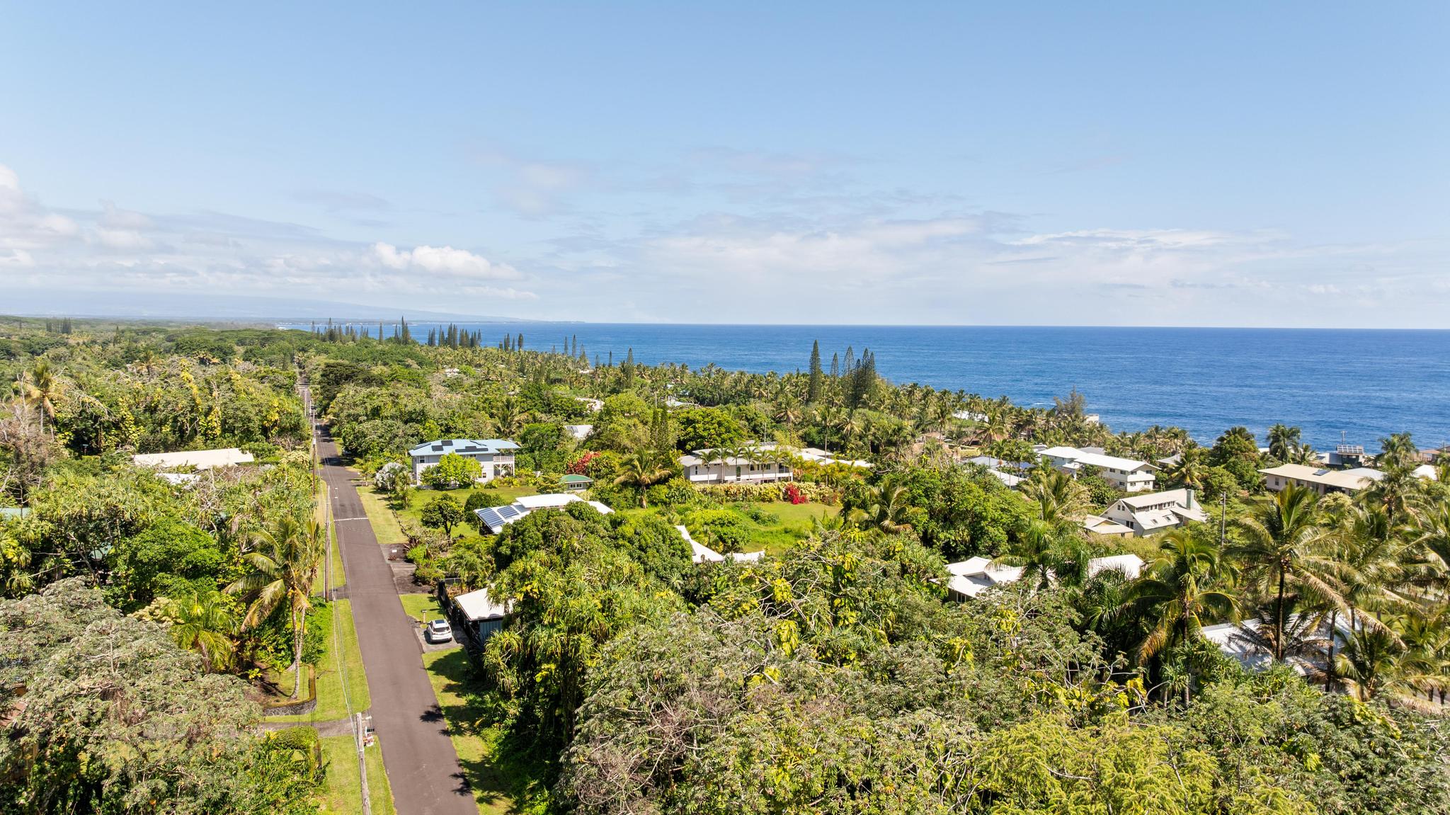 Papai St Property Photo 16