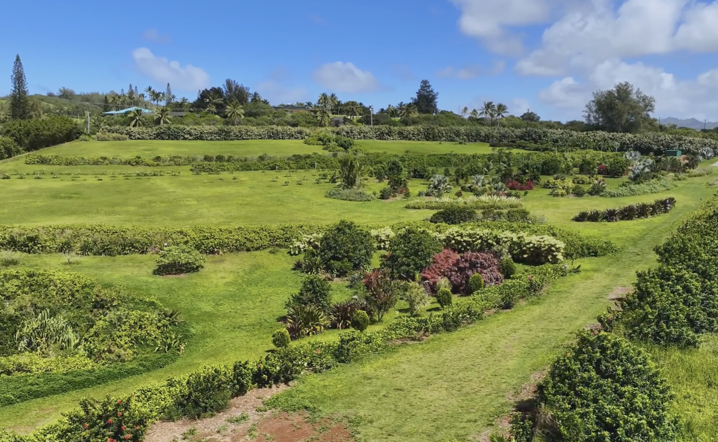 Kauapea Rd Property Photo 7