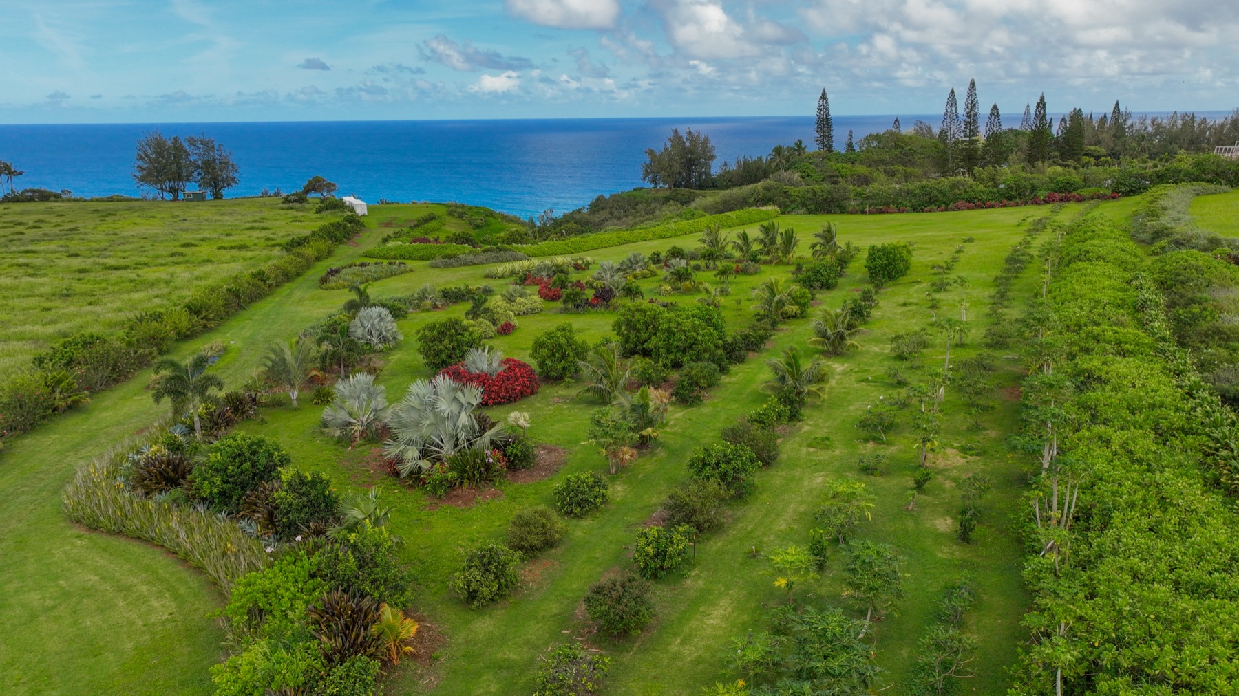 Kauapea Rd Property Photo 8