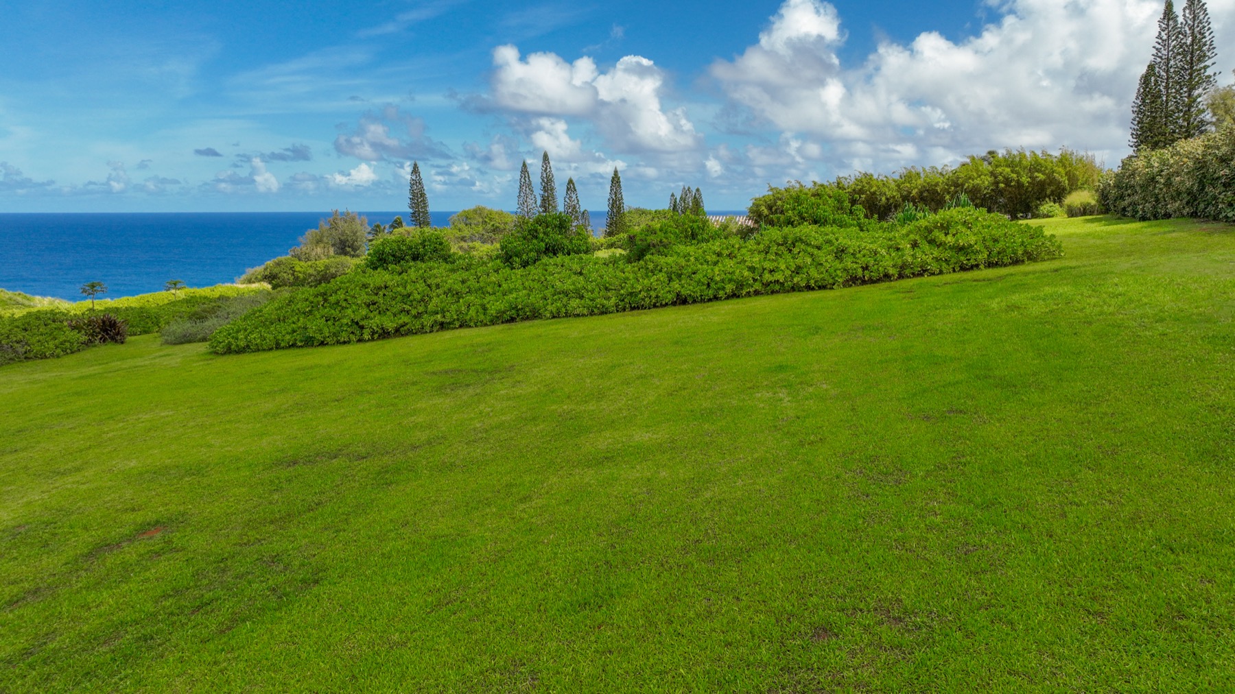 Kauapea Rd Property Photo 13