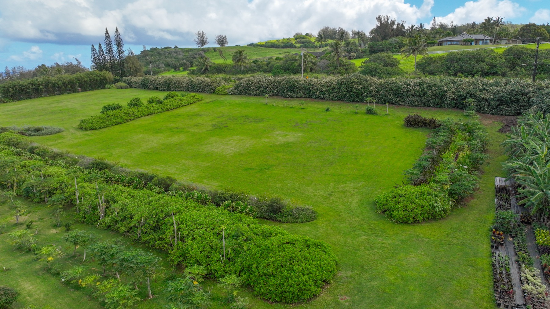 Kauapea Rd Property Photo 14