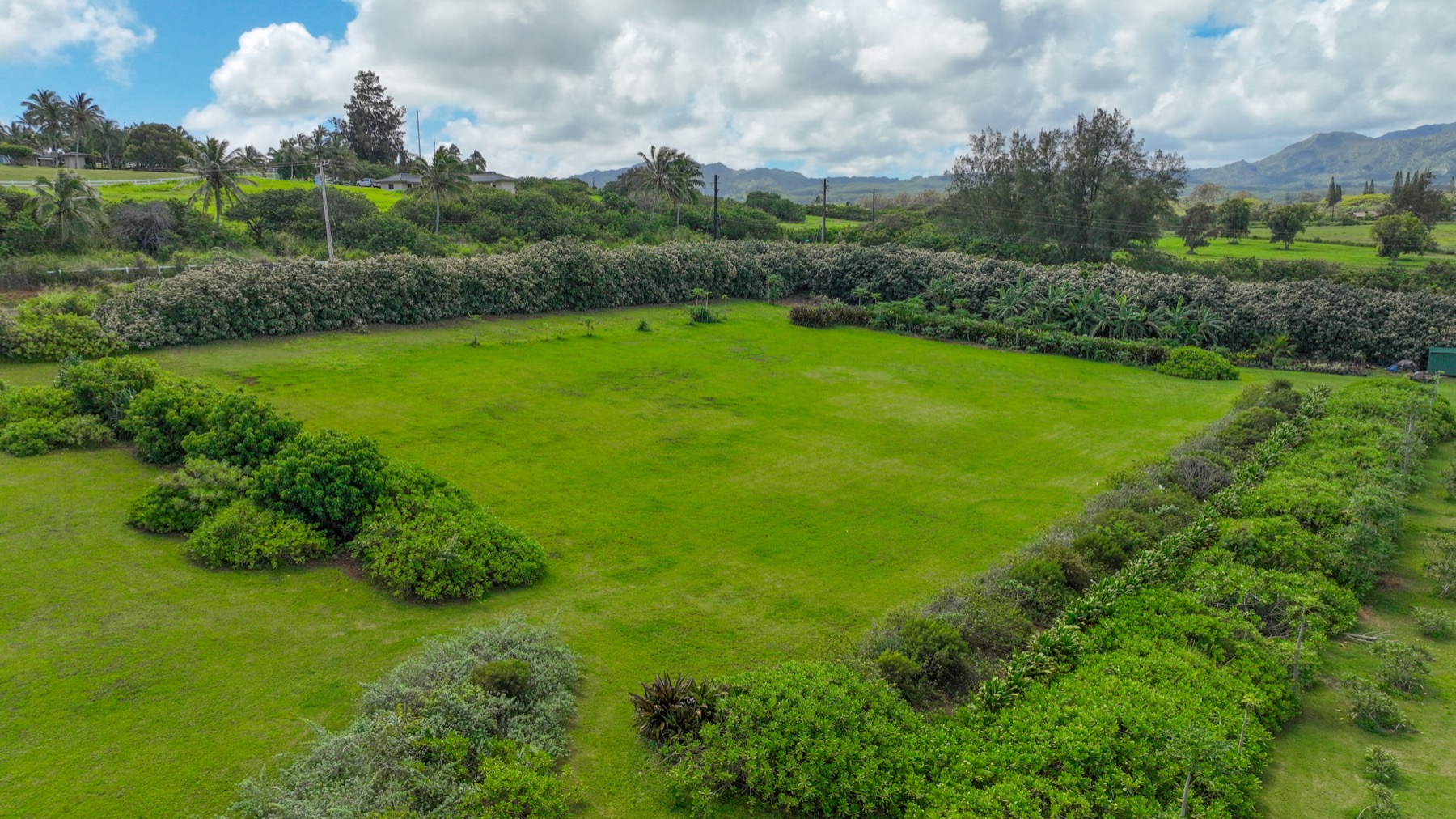 Kauapea Rd Property Photo 15