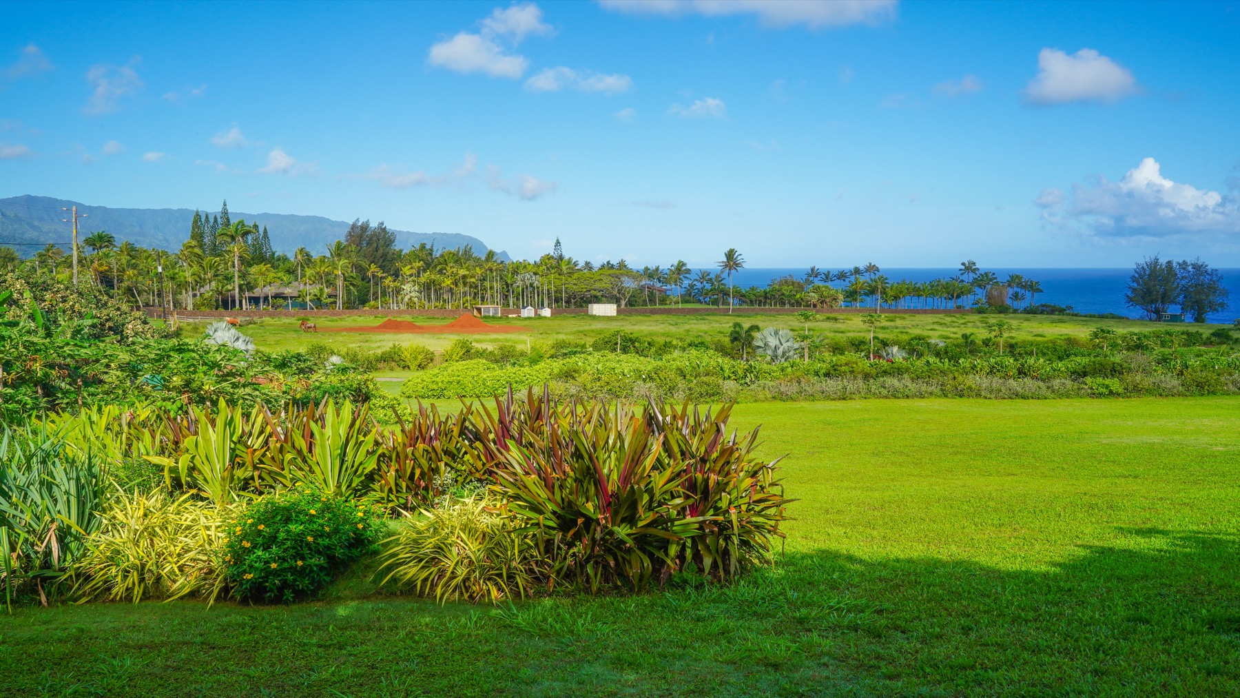 Kauapea Rd Property Photo 18