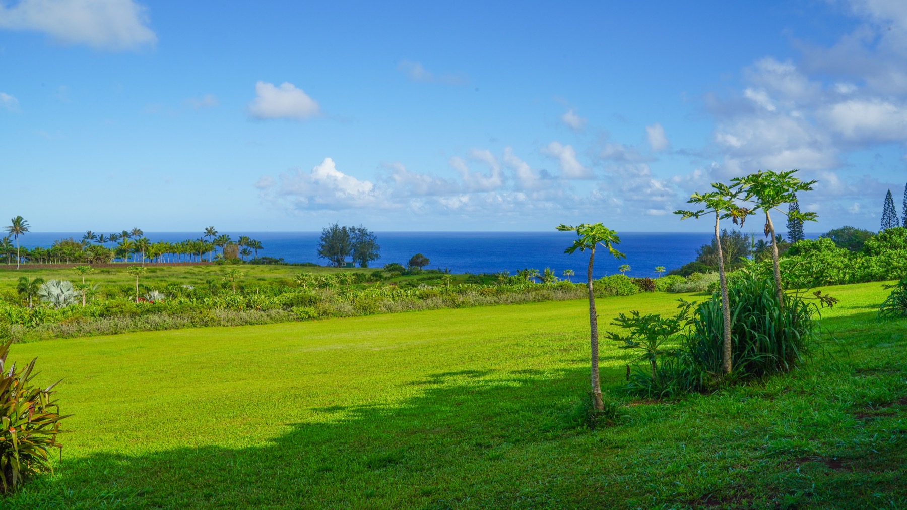 Kauapea Rd Property Photo 19