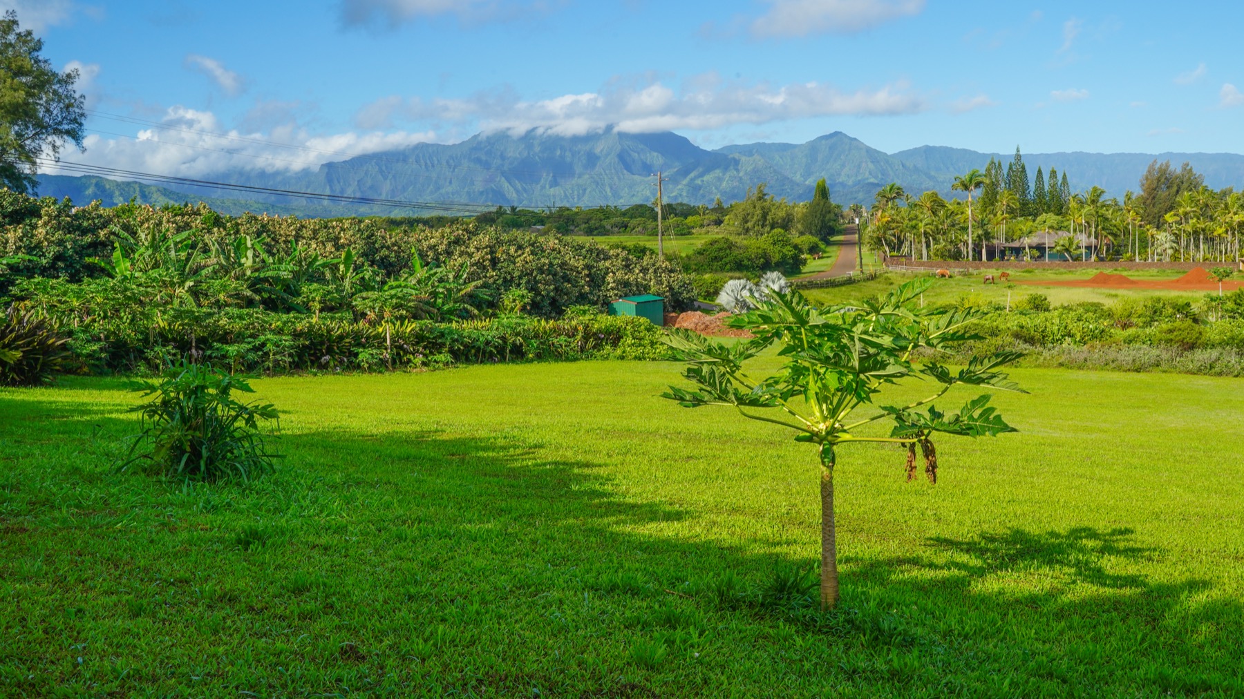 Kauapea Rd Property Photo 20