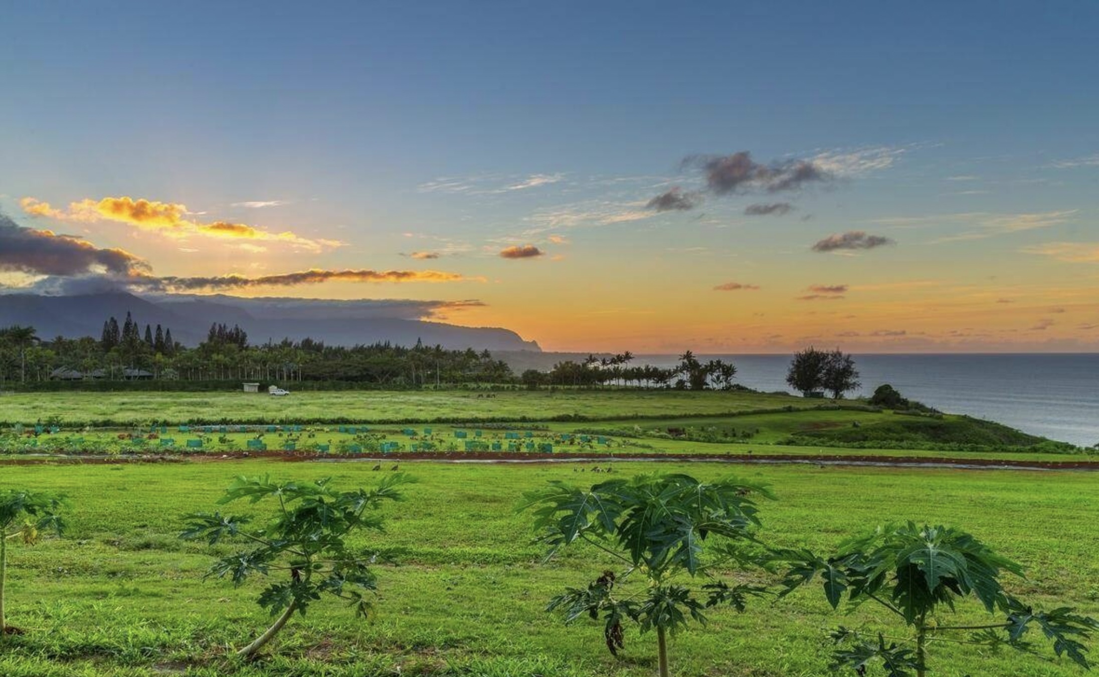 Kauapea Rd Property Photo 23