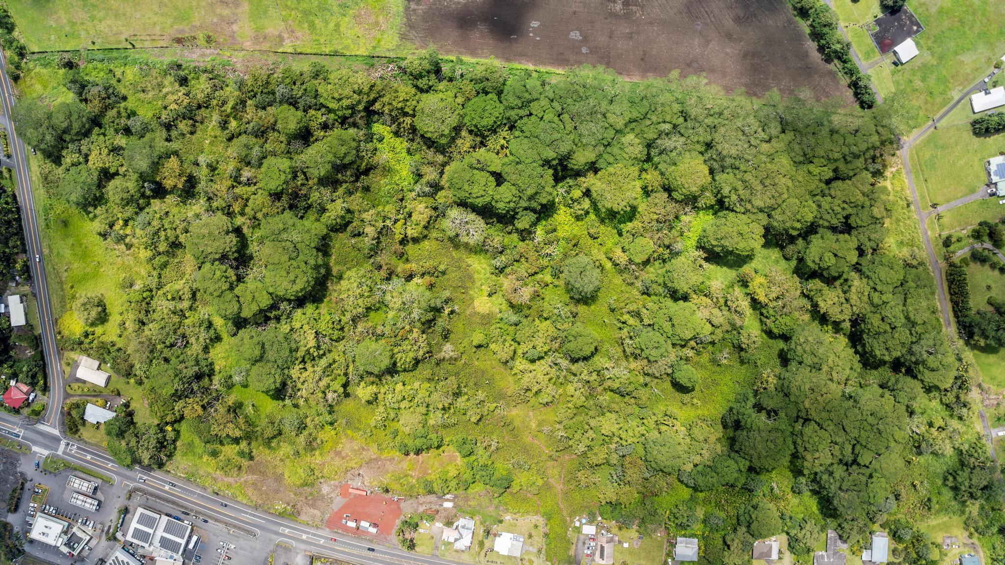 Volcano Rd Property Photo 11