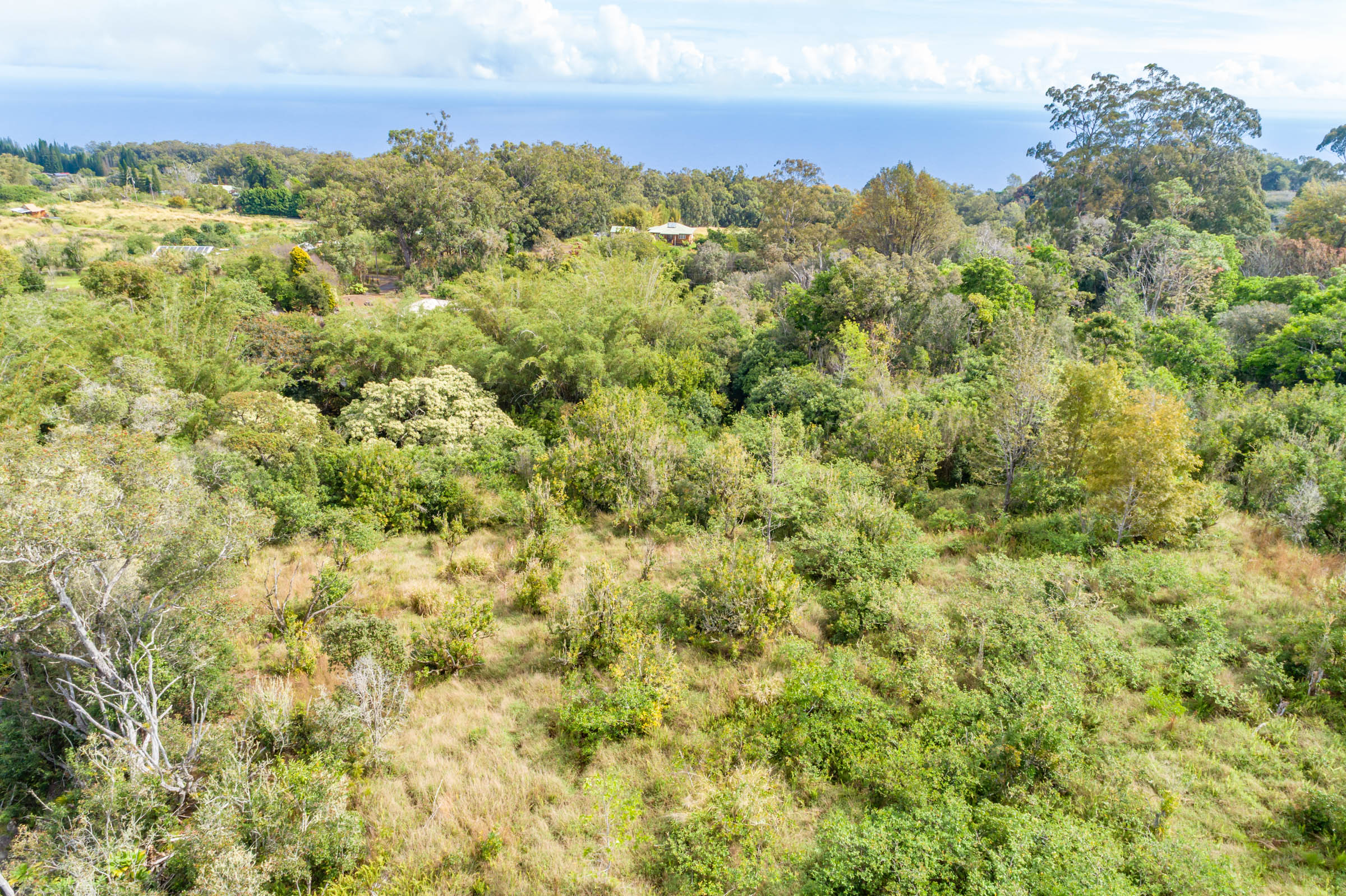 44-3275 Hoo Kahua Rd Property Photo 5