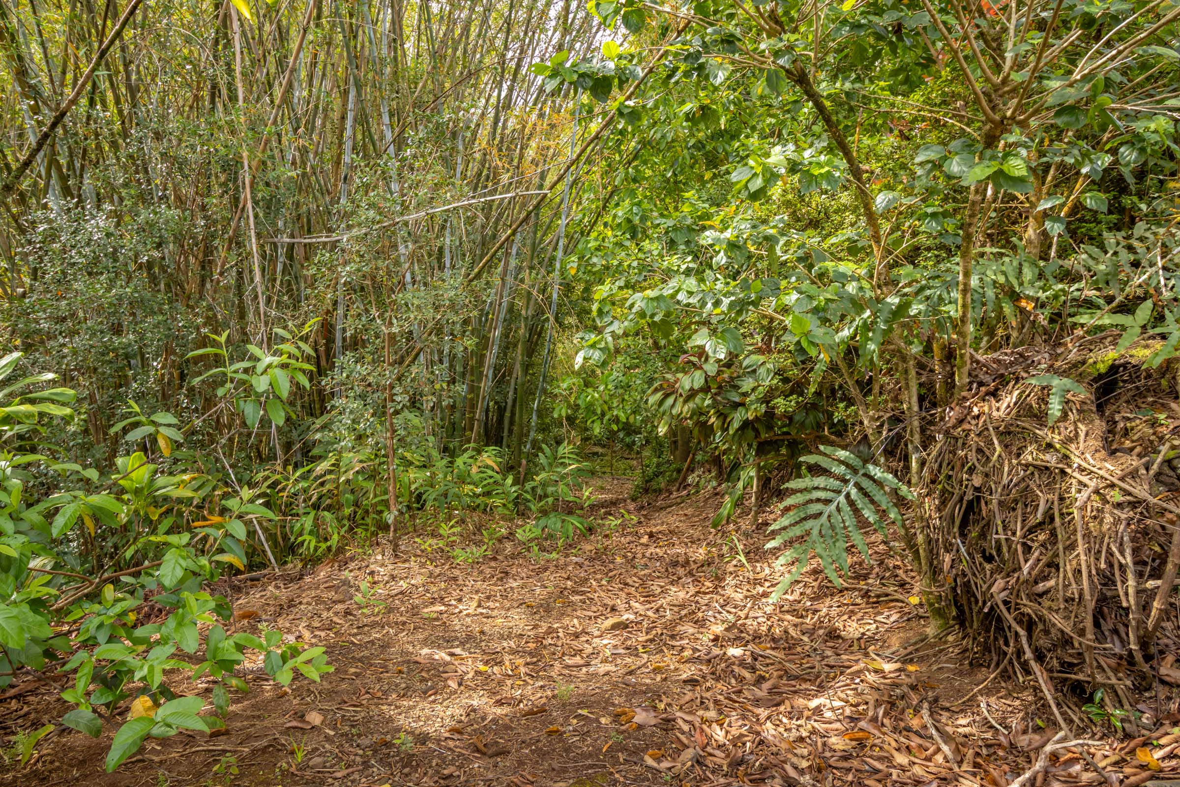 44-3275 Hoo Kahua Rd Property Photo 28