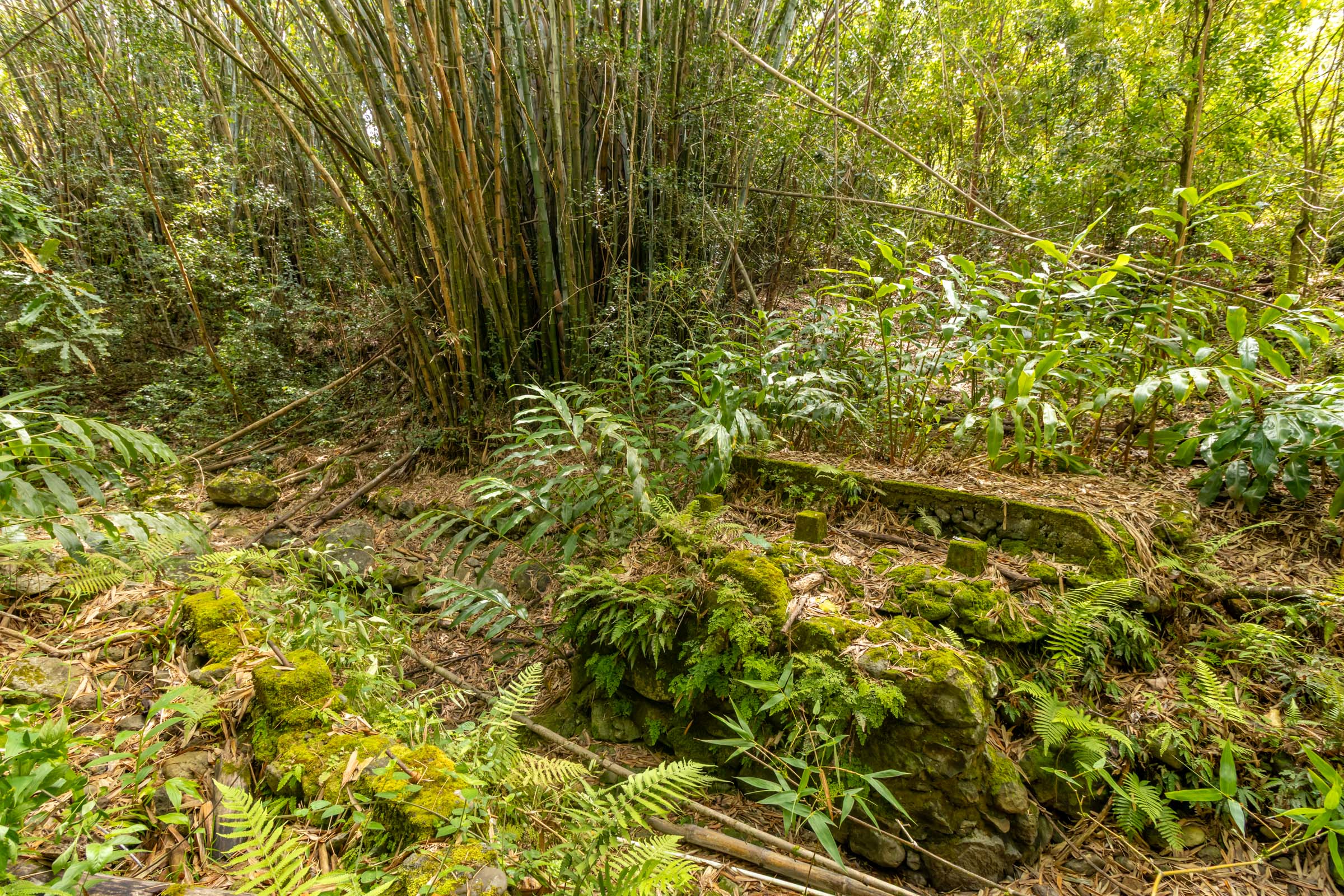 44-3275 Hoo Kahua Rd Property Photo 29