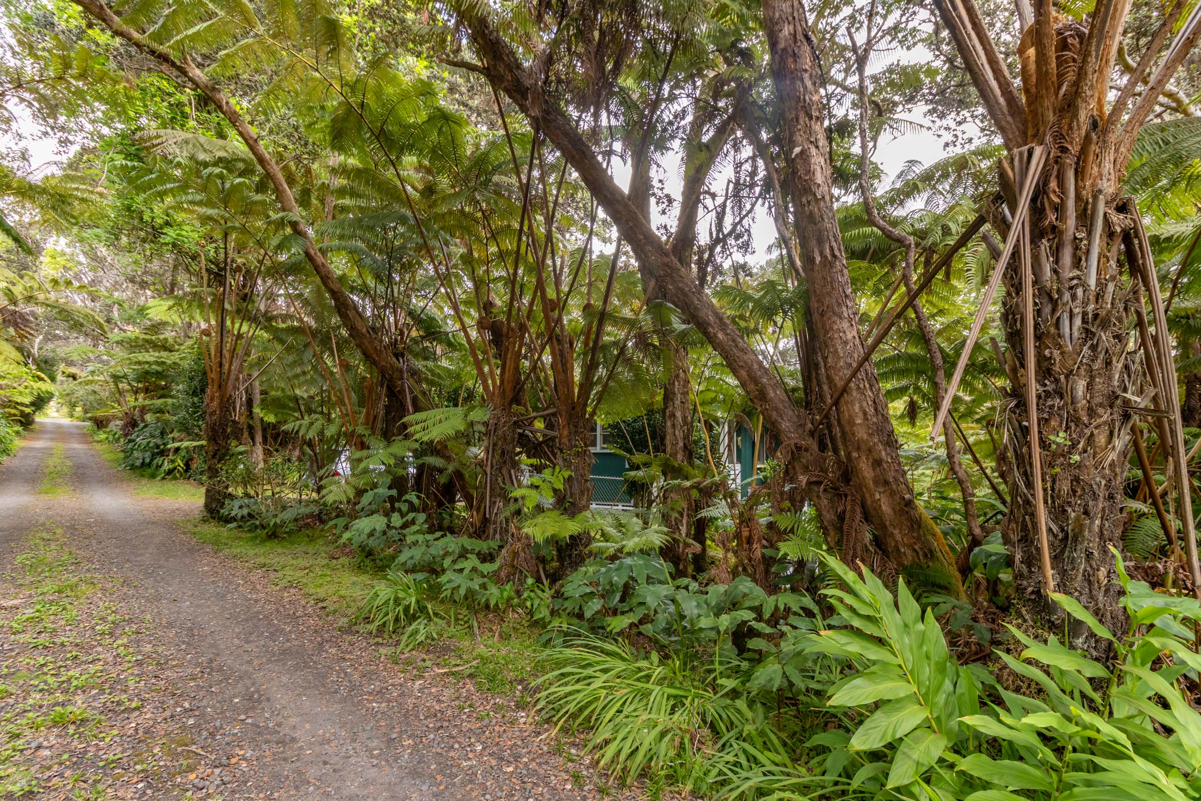 19-4045 Kalani Honua Loop Property Photo 12
