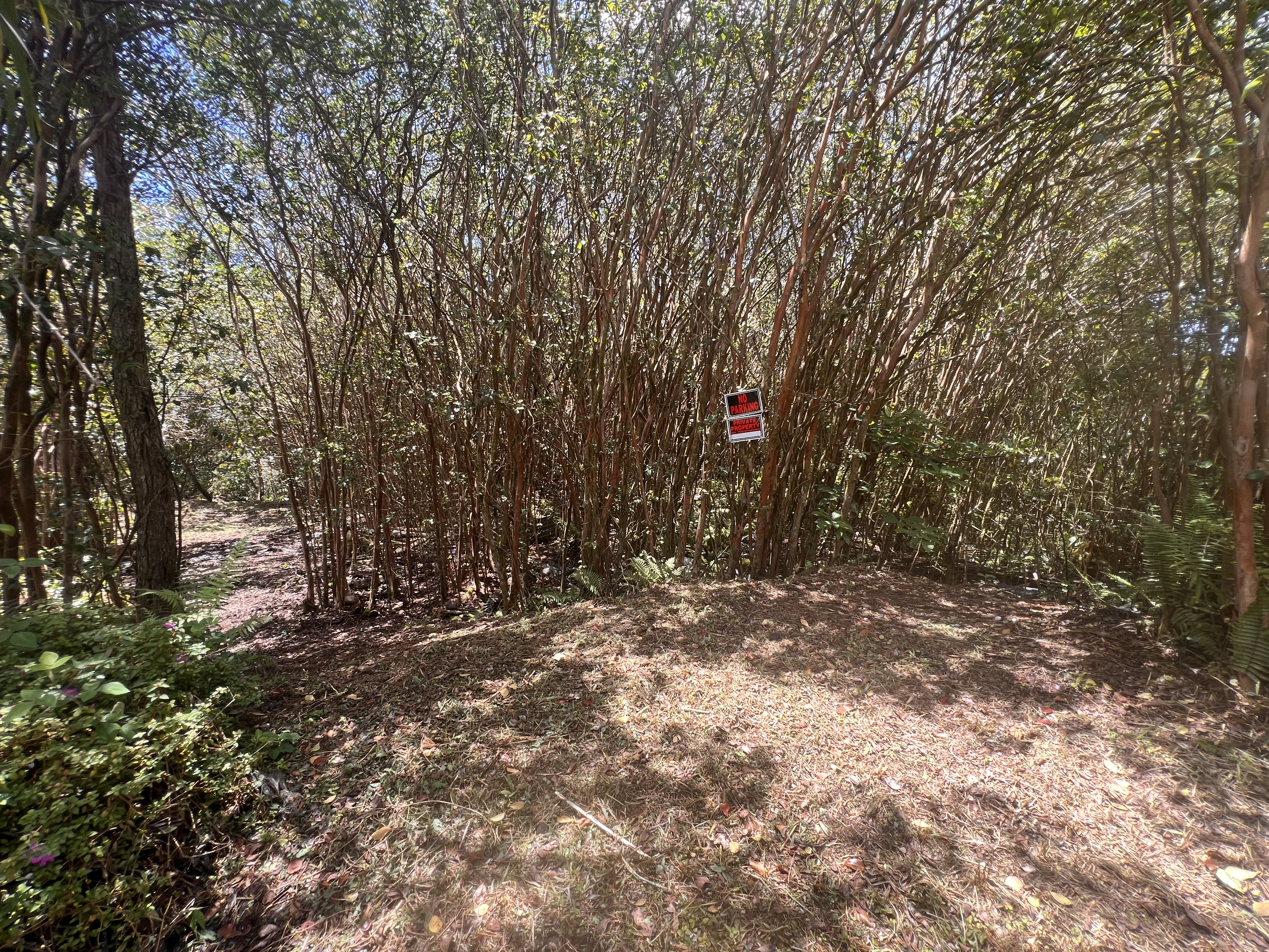 Ocean View Pkwy Property Photo 3