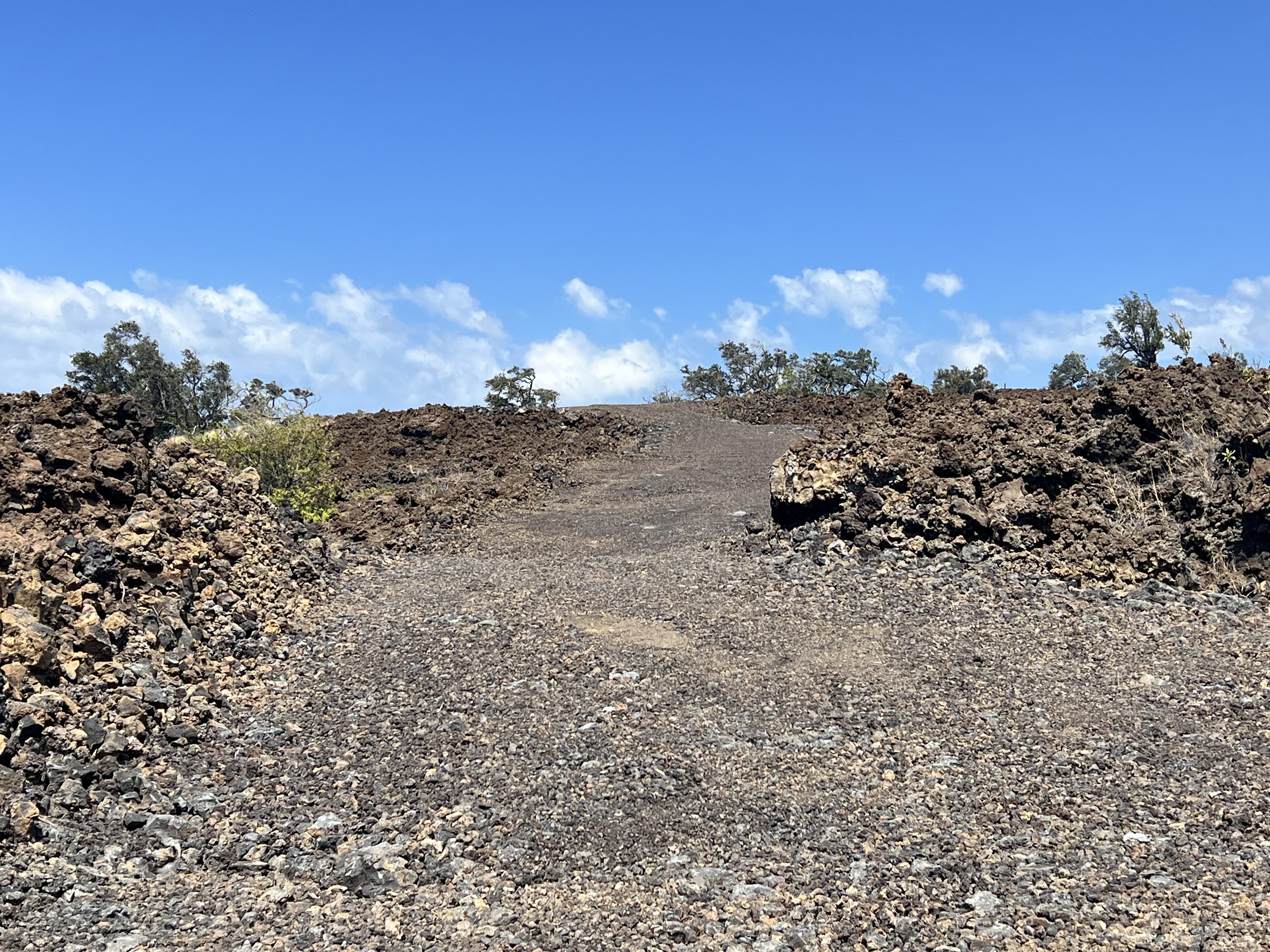 Kohala Blvd Property Photo