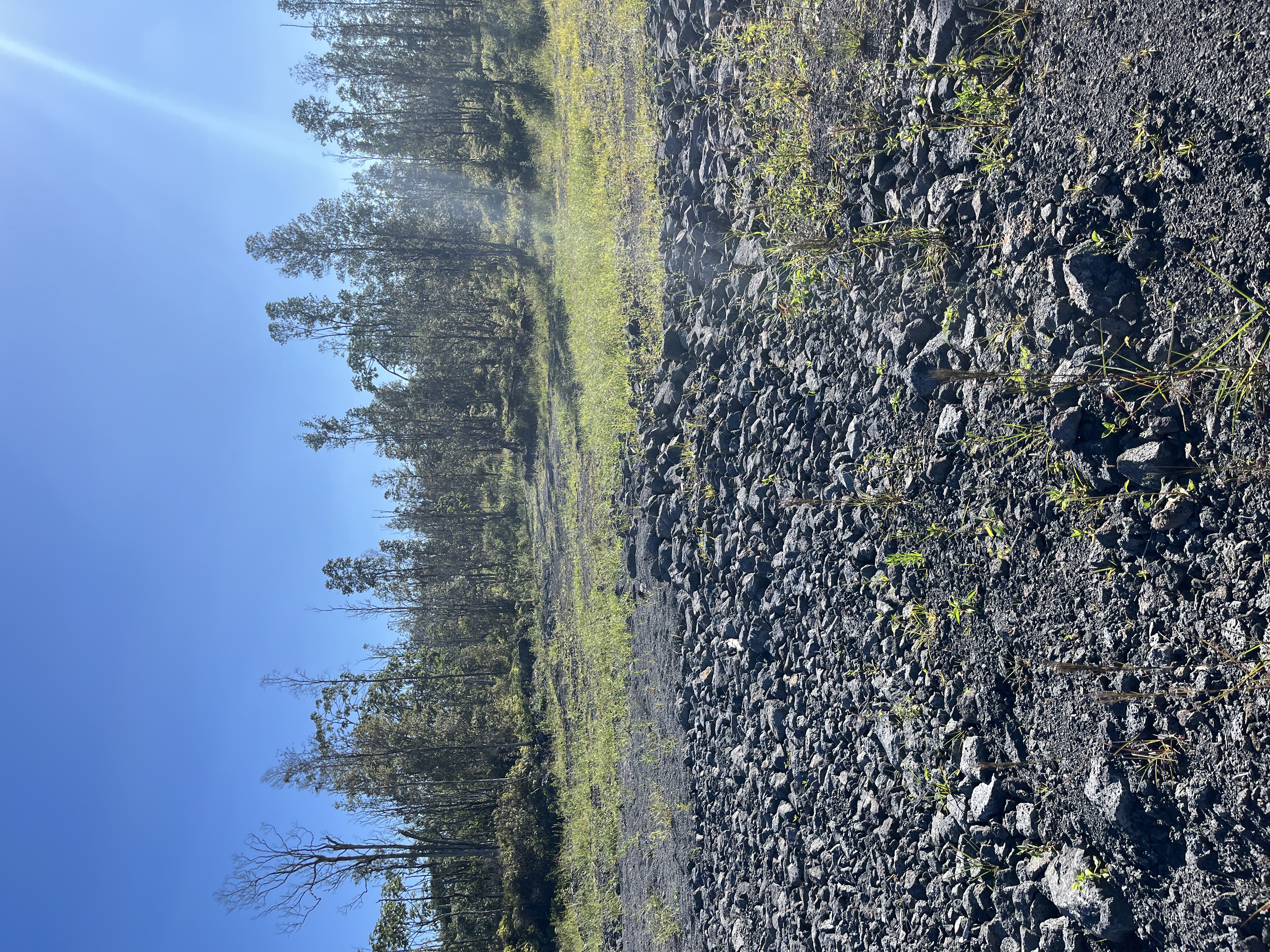 Road 9 (koloa Maoli) Property Photo