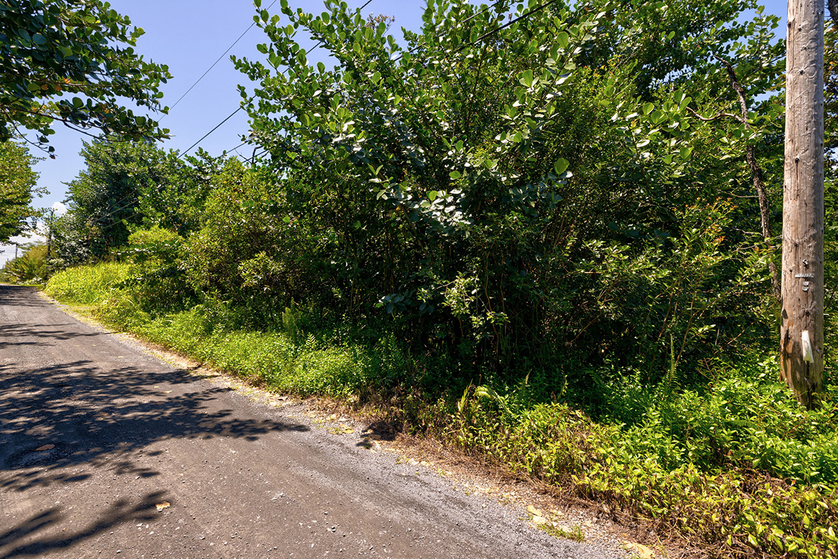 Amau Rd Property Photo 3