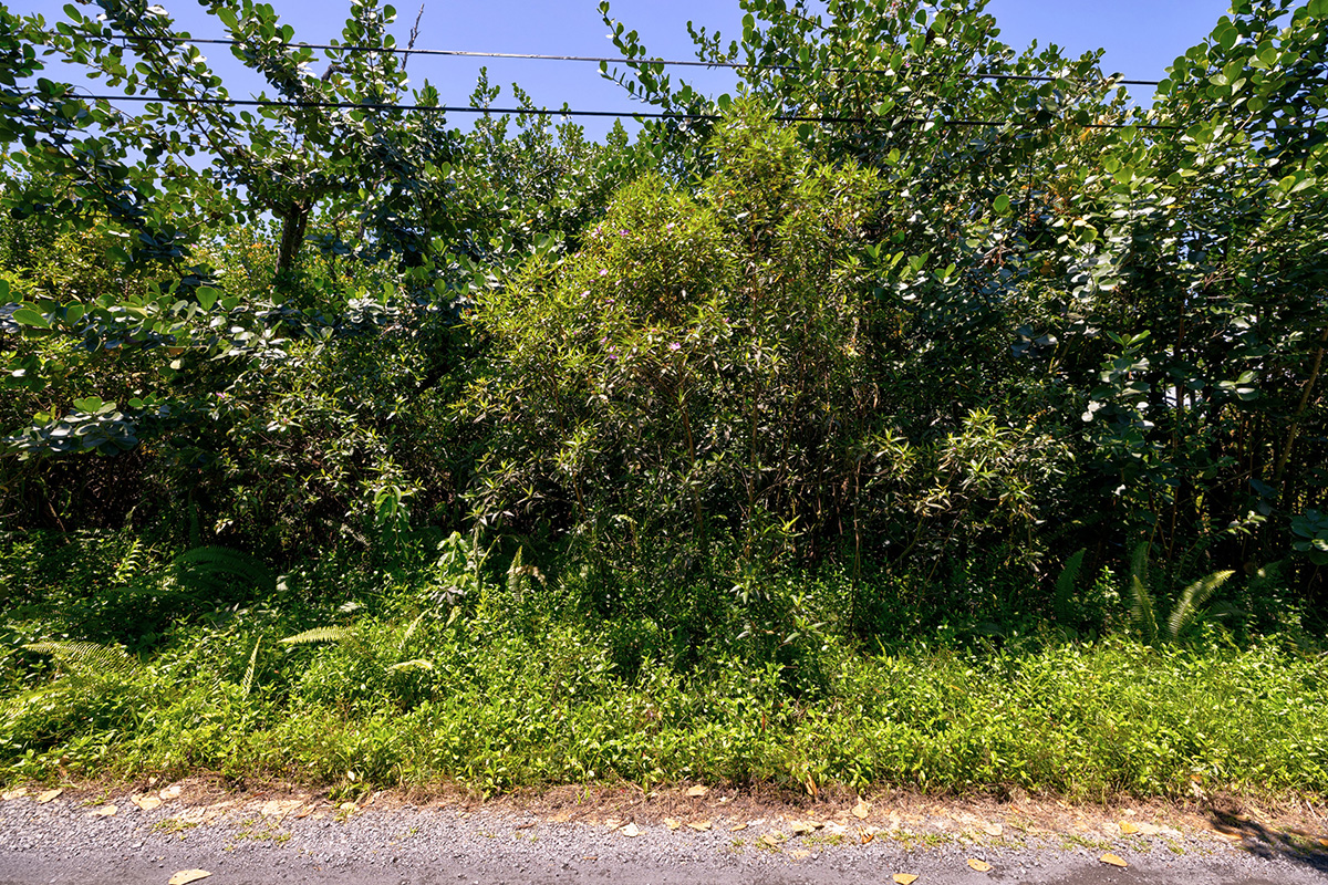 Amau Rd Property Photo 4
